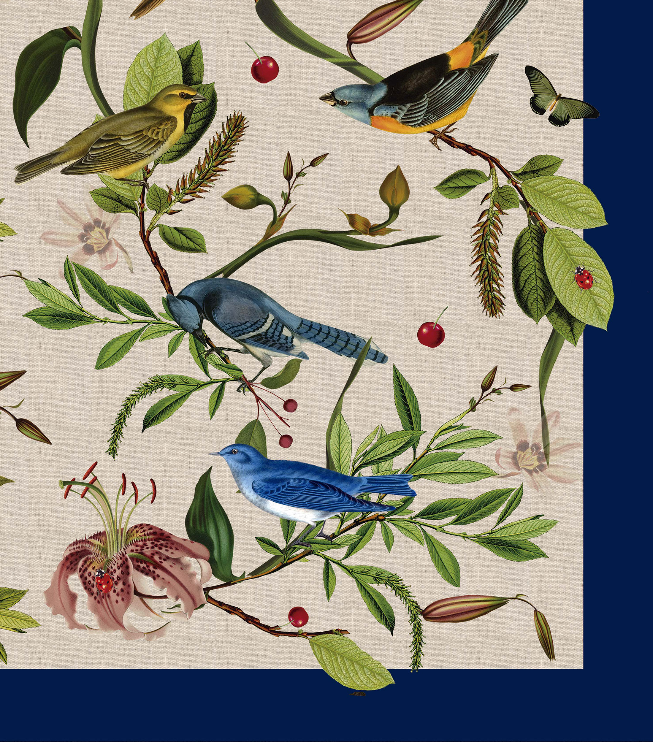 Servilleta Wild Birds arena y azul marino con aves
