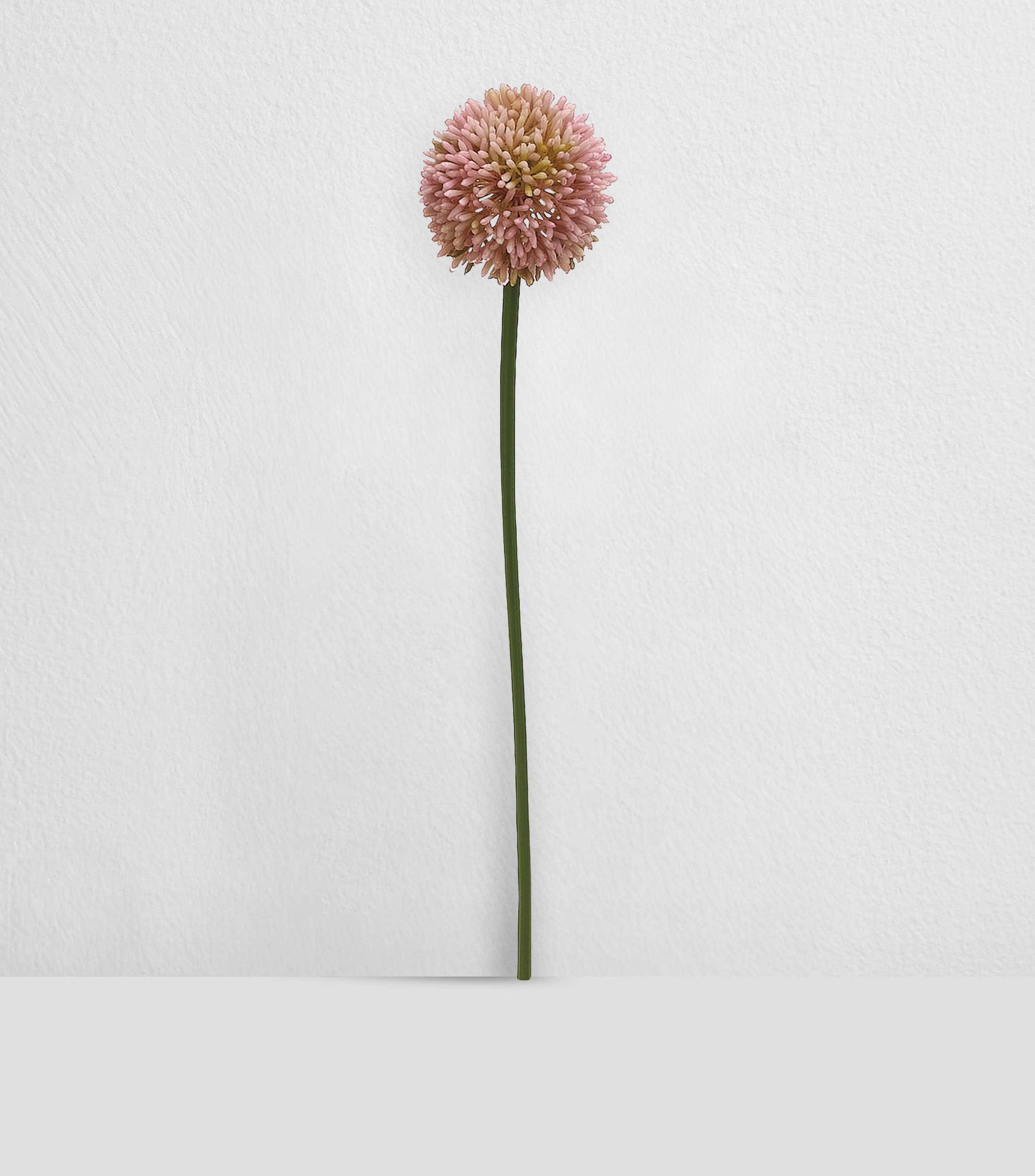 Flor decorativa Allium Malva en material sintético