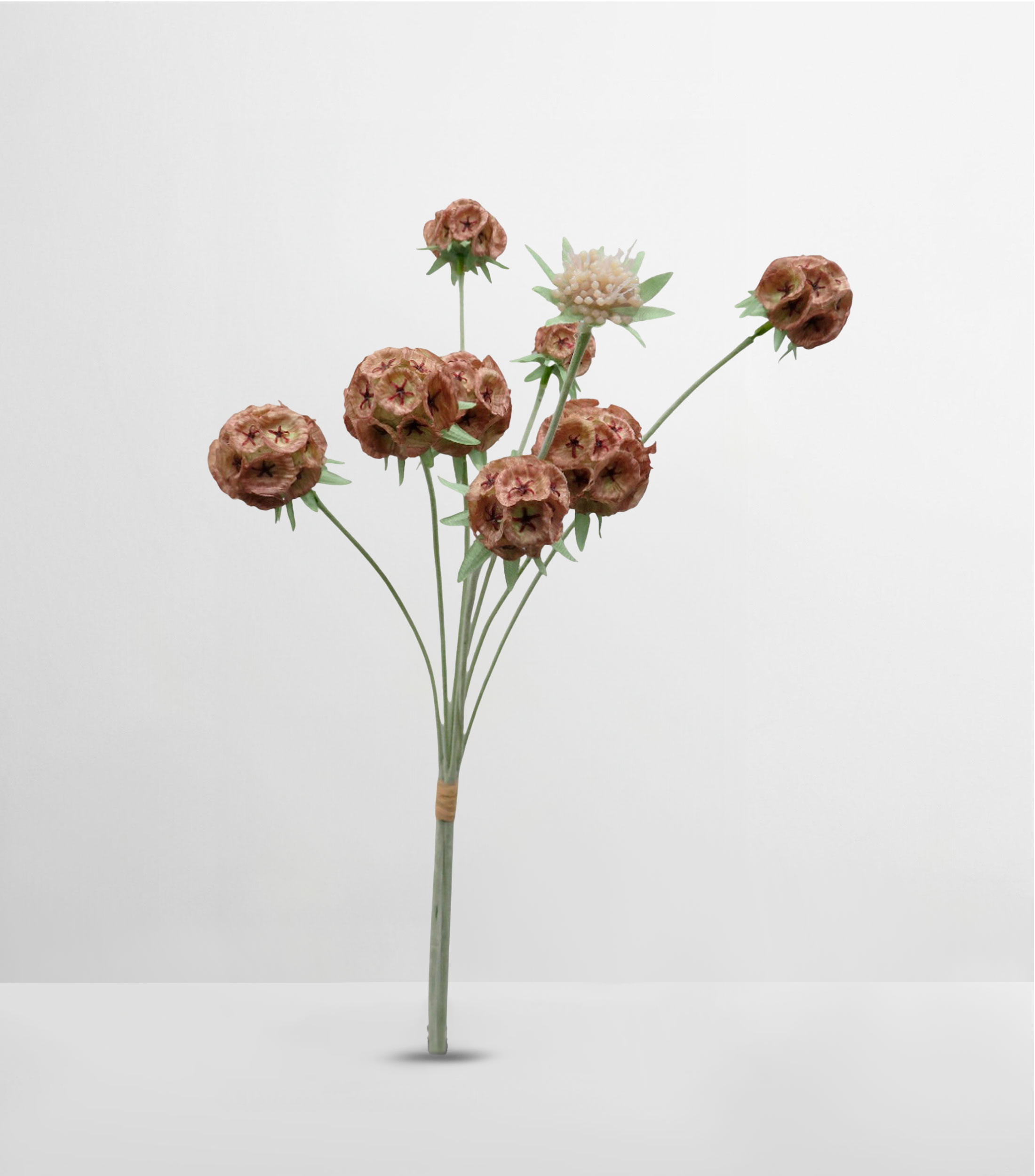 Ramo de Flores Decorativo Scabiosa