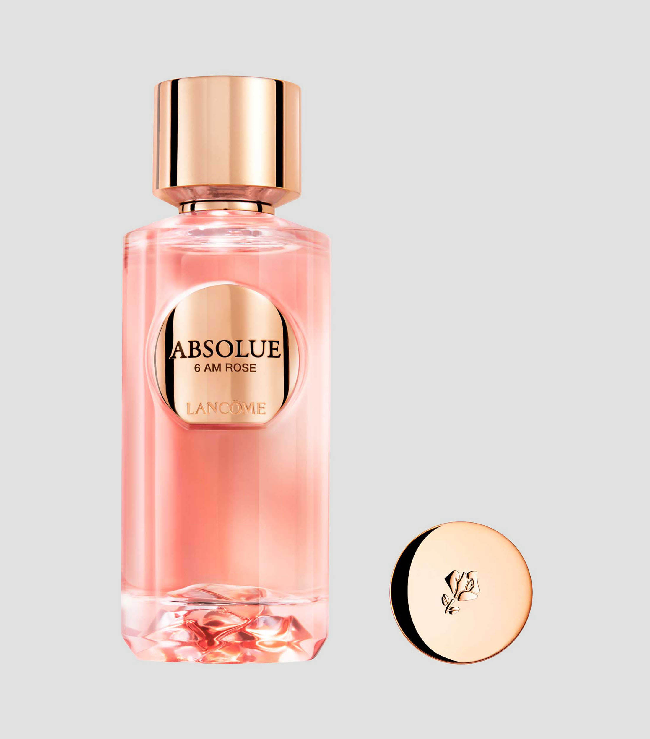 Perfume Absolue 6 AM Rose, Eau de Parfum, 100 ml Unisex