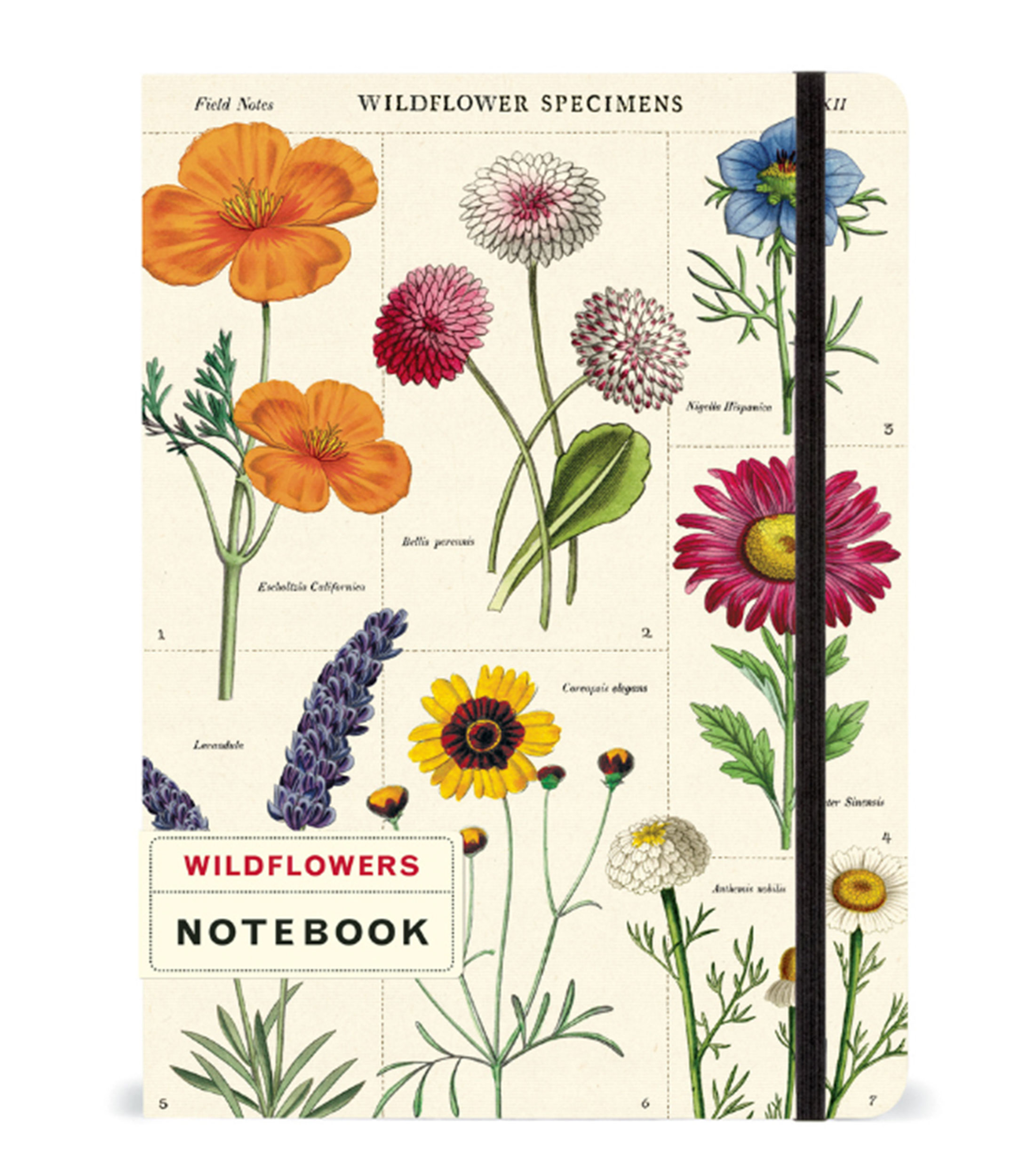 Cavallini & Co. Libreta de tapa dura Flores El Palacio de Hierro