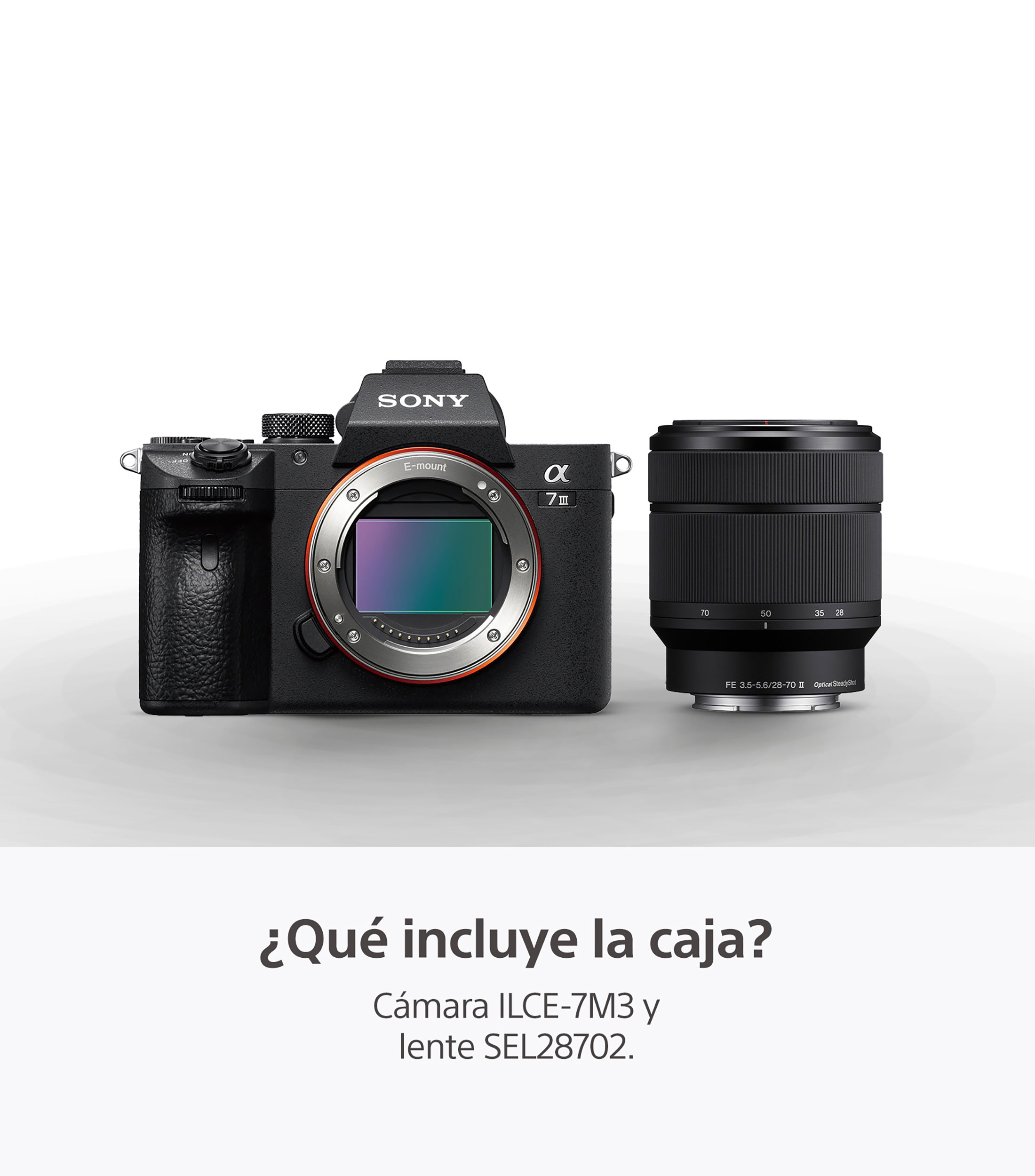 Cámara digital Alpha 7 III ILCE-7M3 24.2 MP