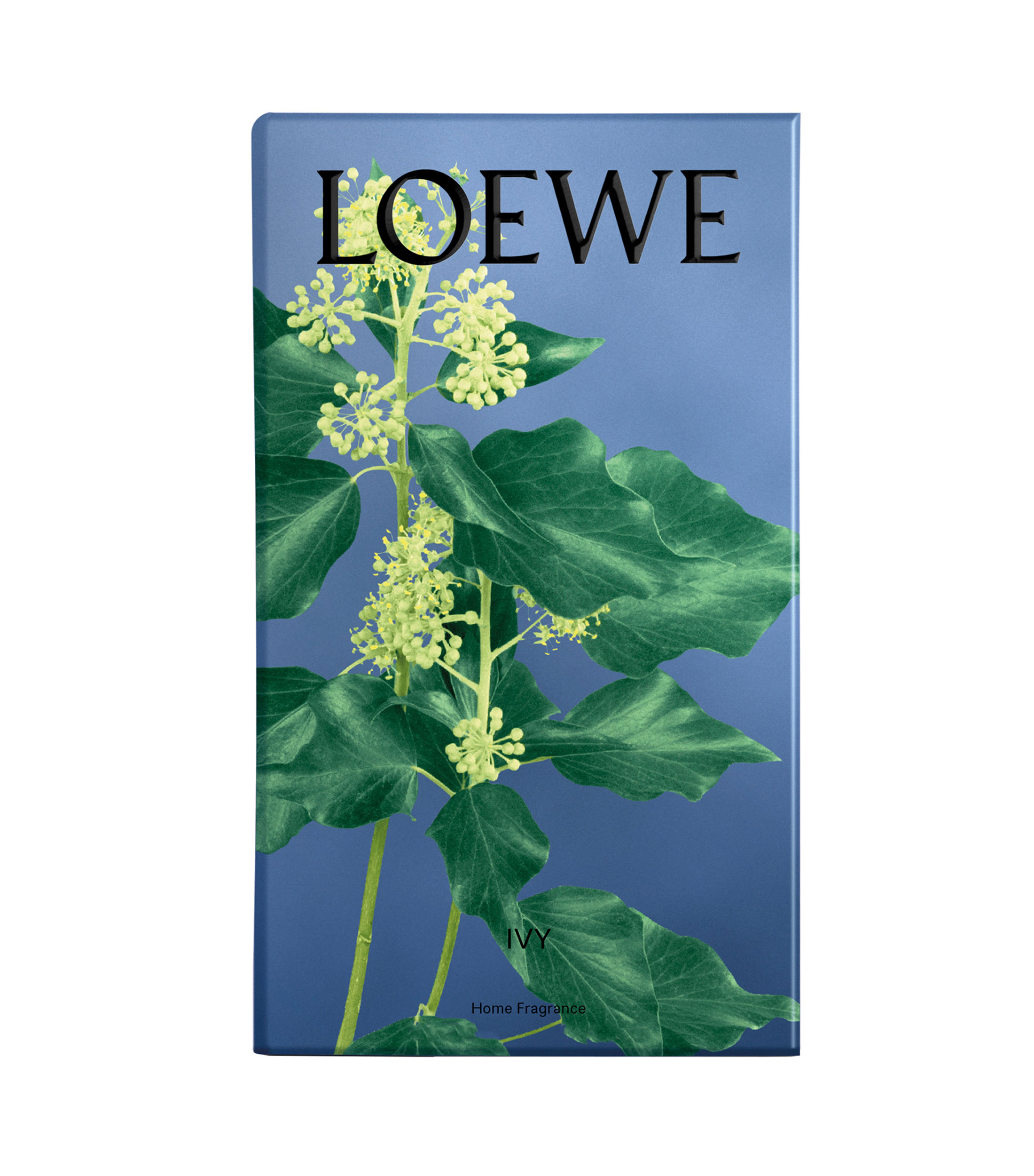 LOEWE HS IVY HOME FRAGRANCE 150 ML