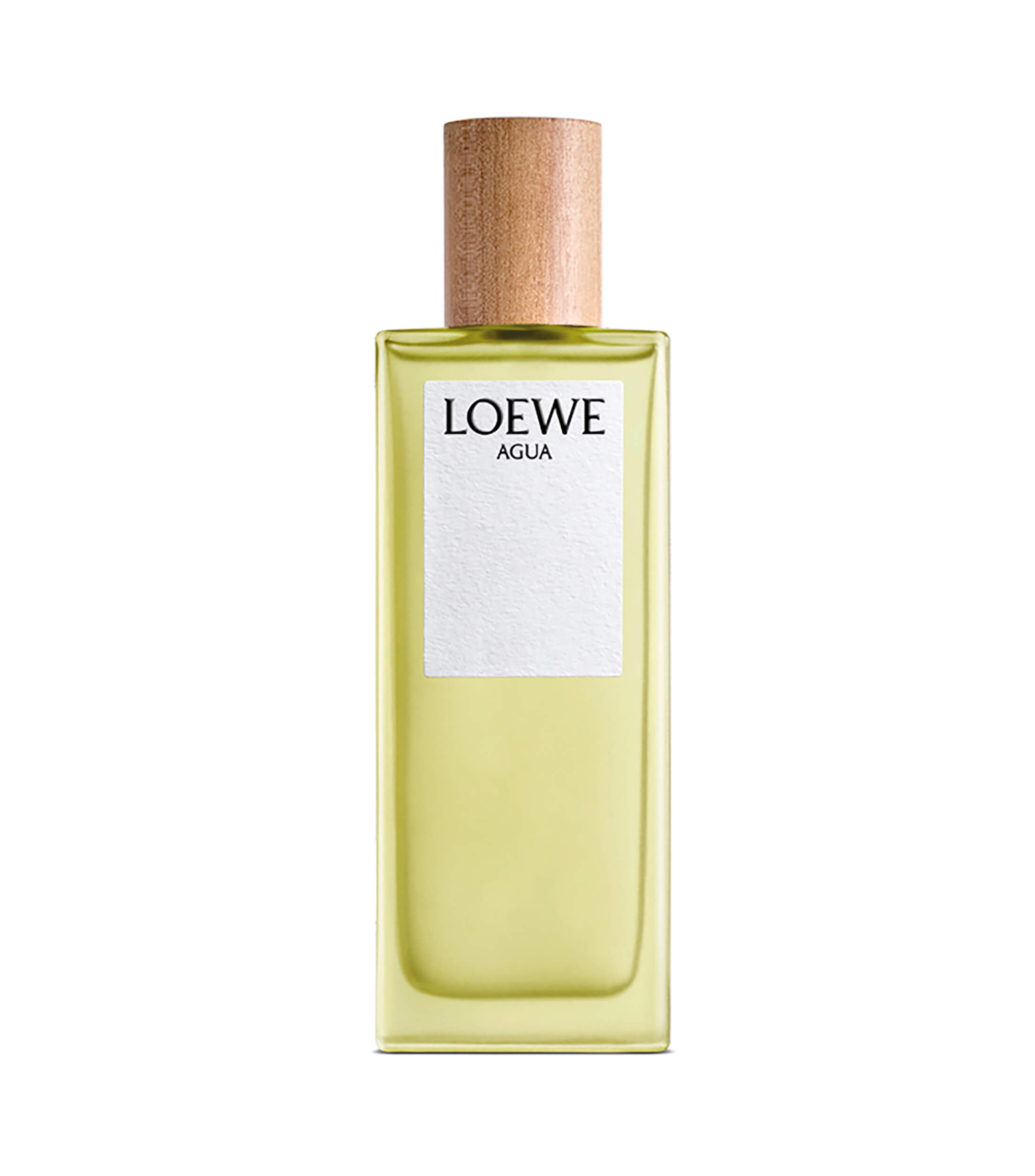 LOEWE AGUA EDT 100 ML