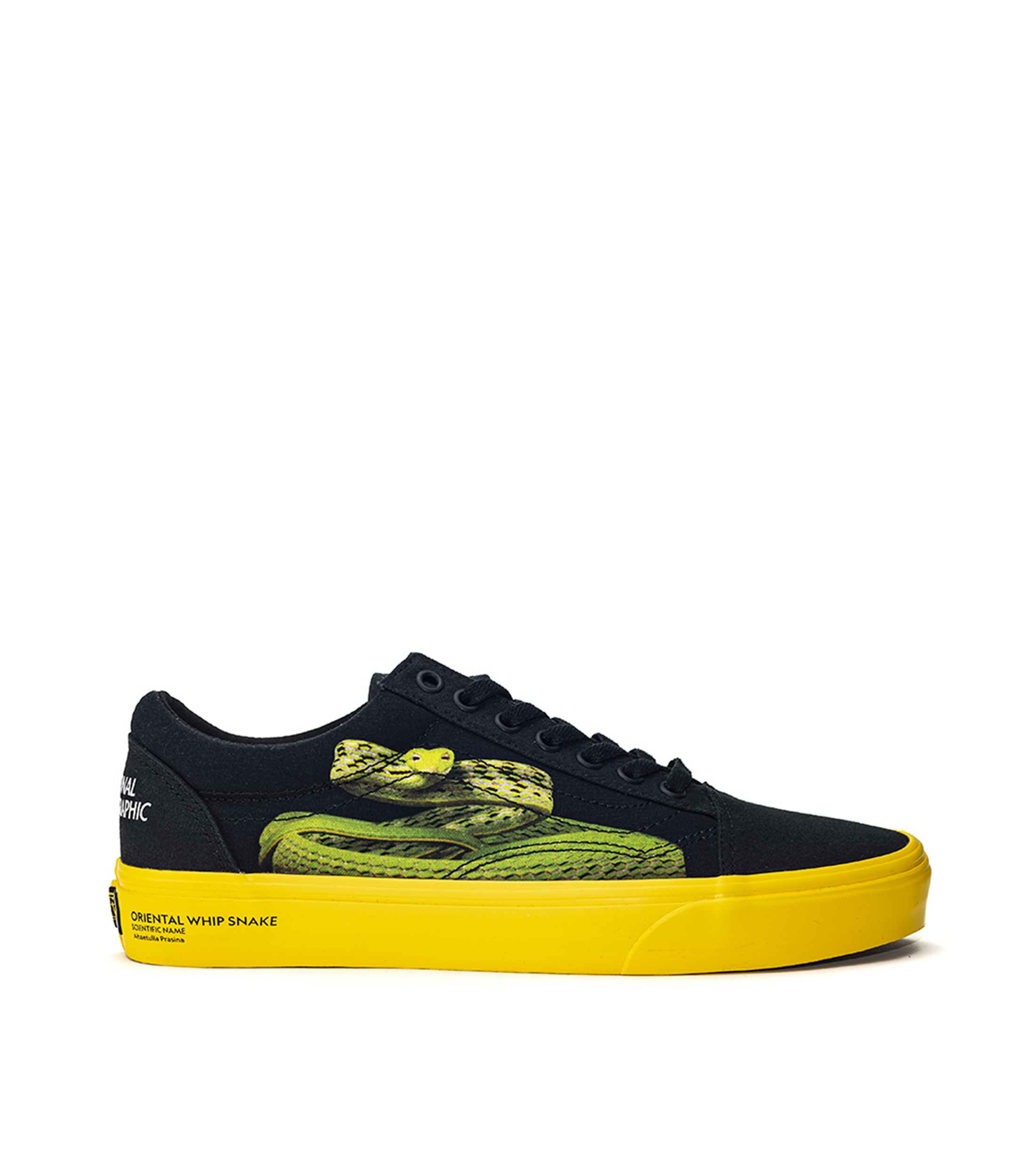Vans Tenis National Geographic Hombre El Palacio de Hierro