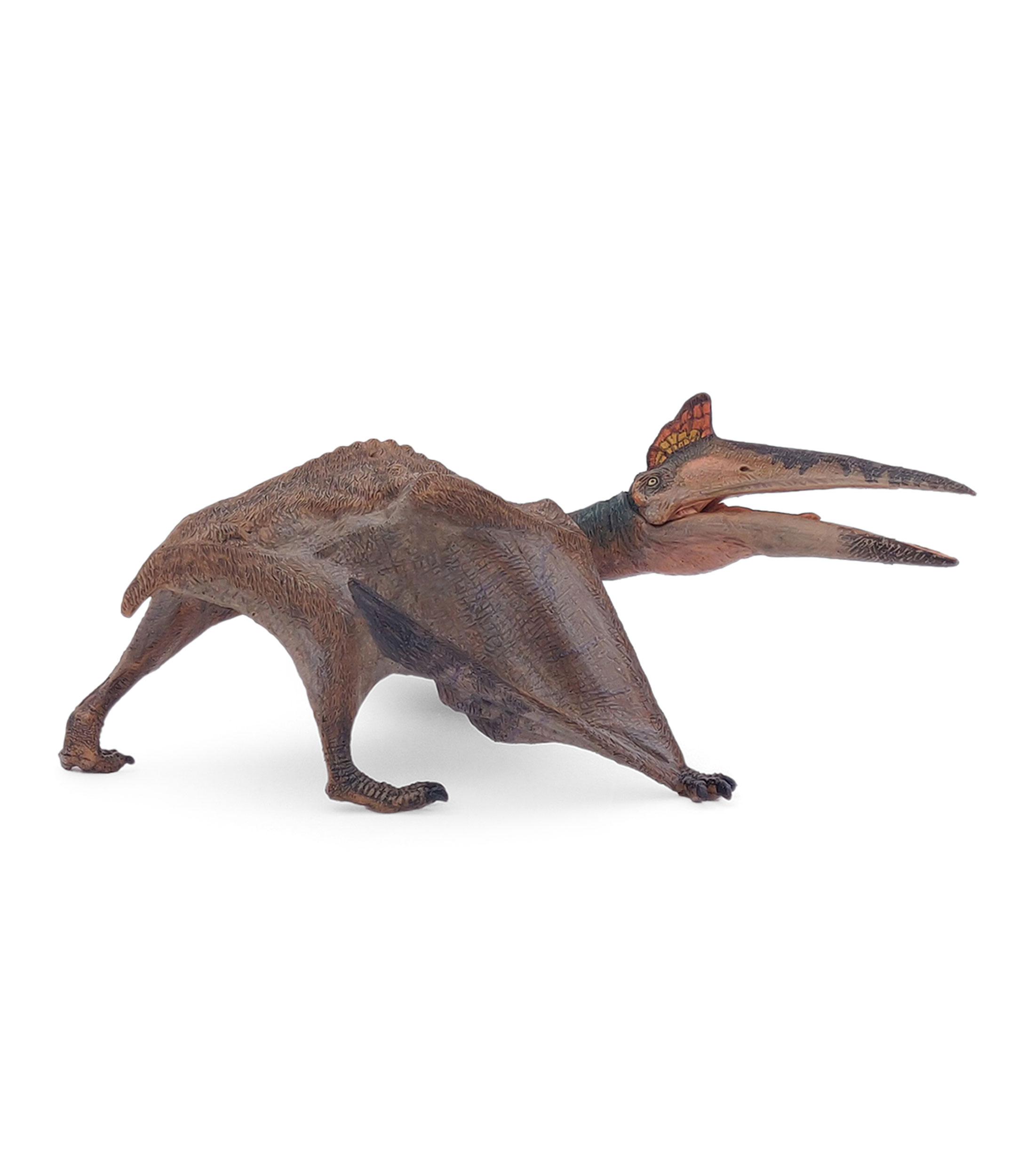 Quetzalcoatlus