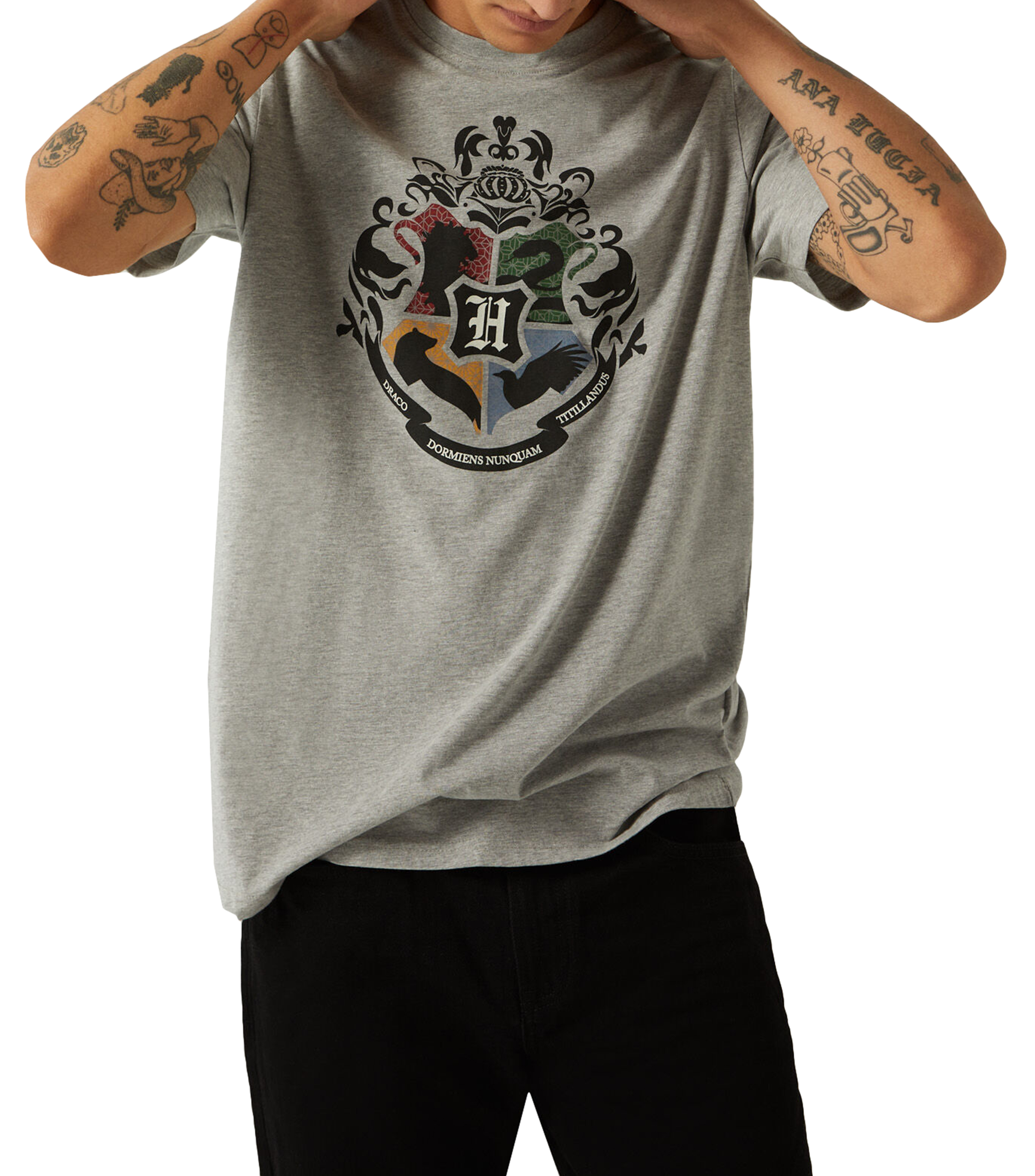 Springfield Playera Harry Potter Hombre - El Palacio de Hierro