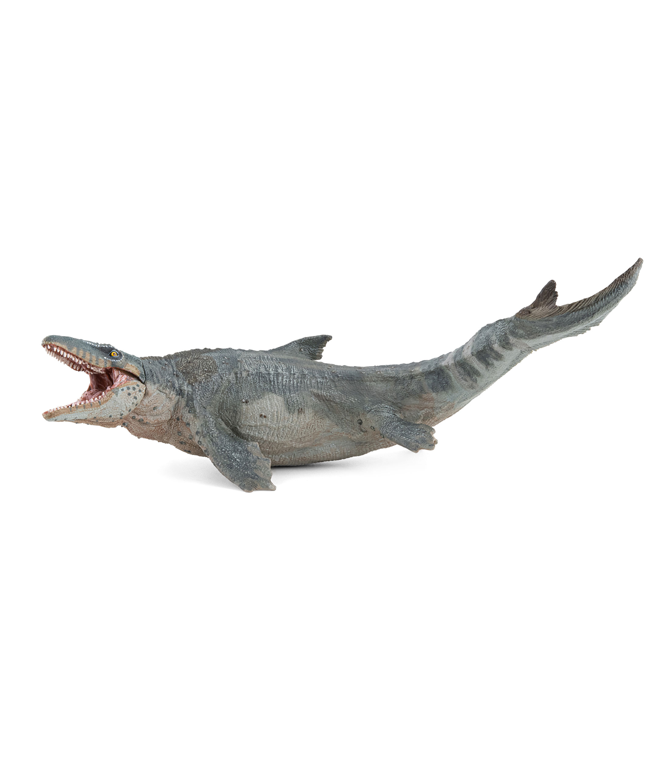 Mosasaurus
