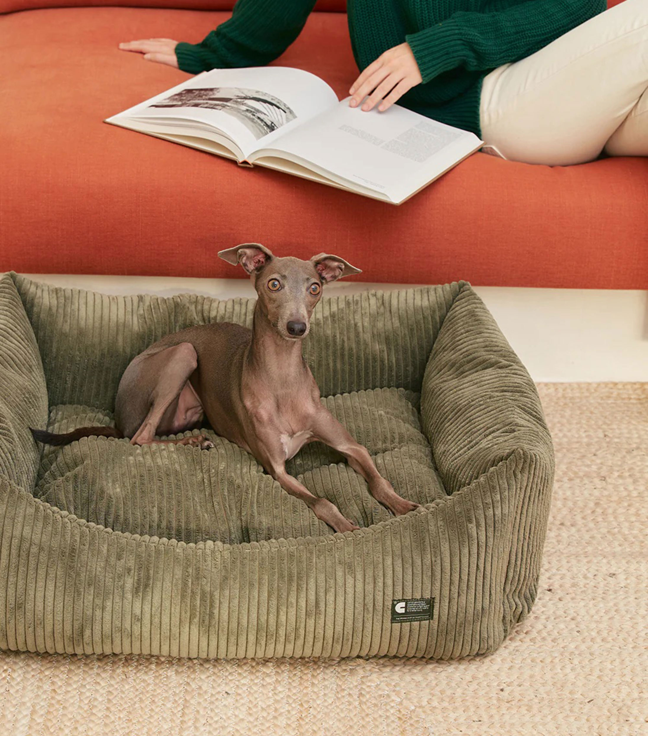 Cama para mascota M Snozy pana verde