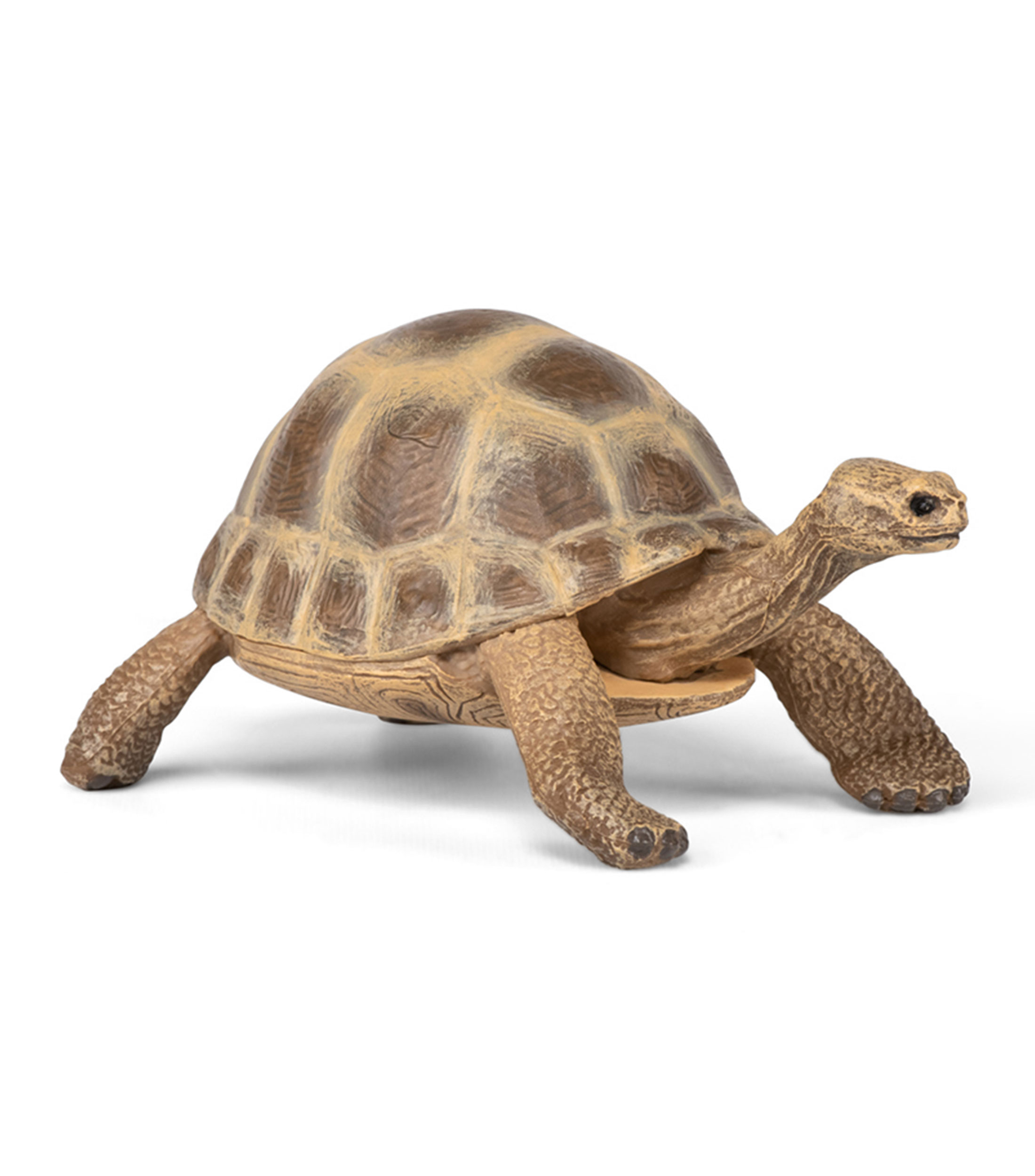 Figura Coleccionable Tortuga Hermanni