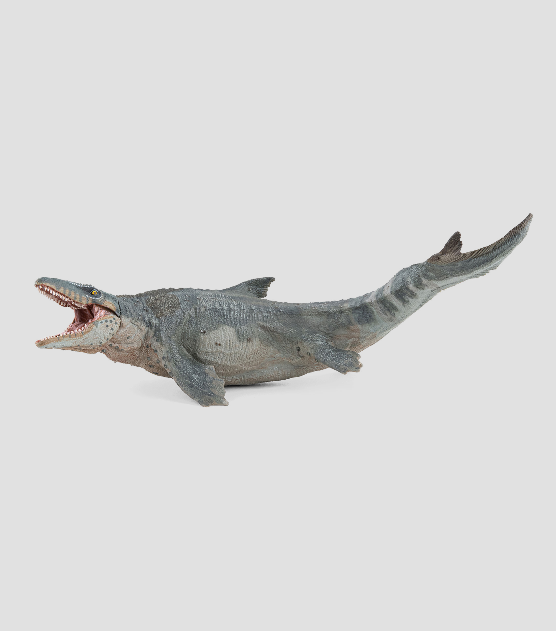 Mosasaurus