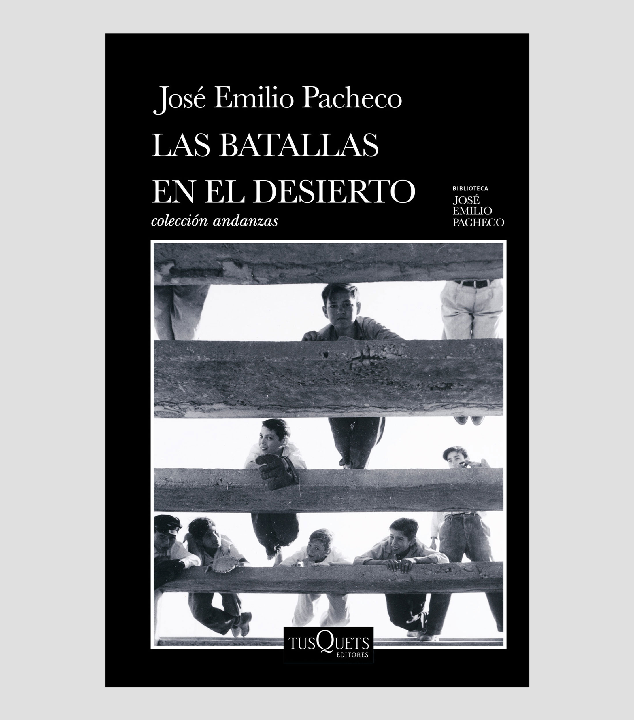 NovelaLas batallas en el desierto, José Emilio Pacheco