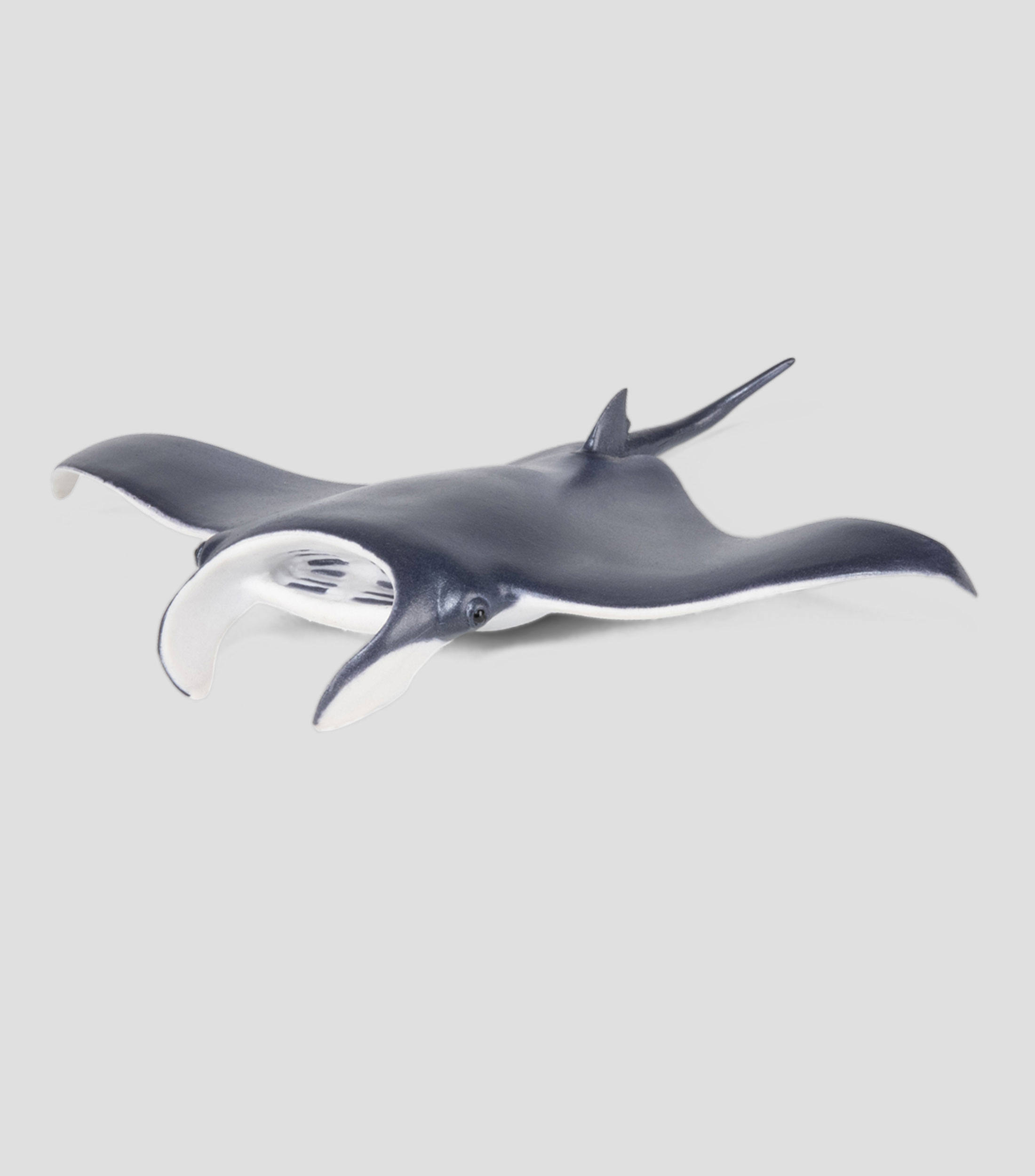 Figura de Mantarraya