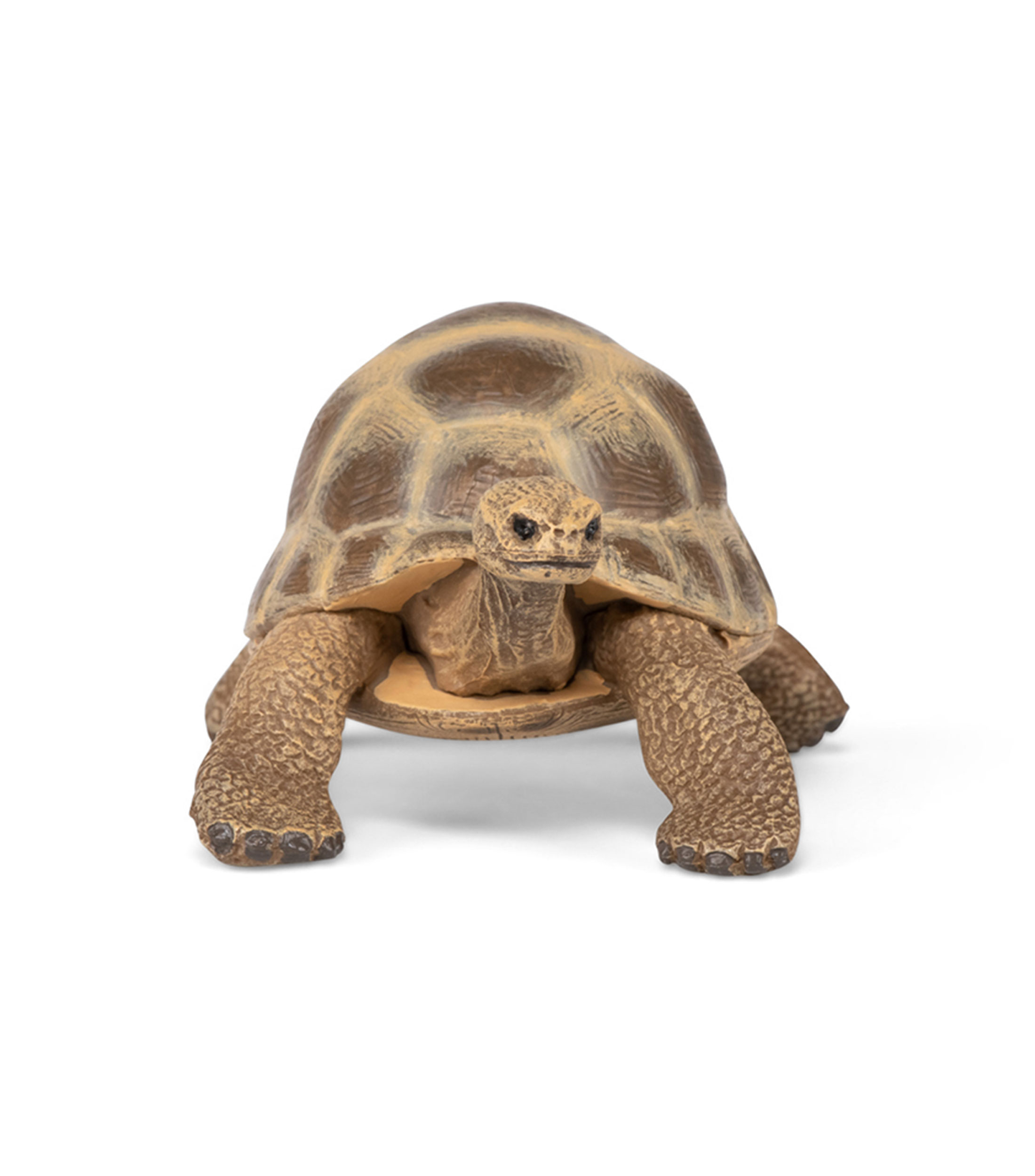 Figura Coleccionable Tortuga Hermanni