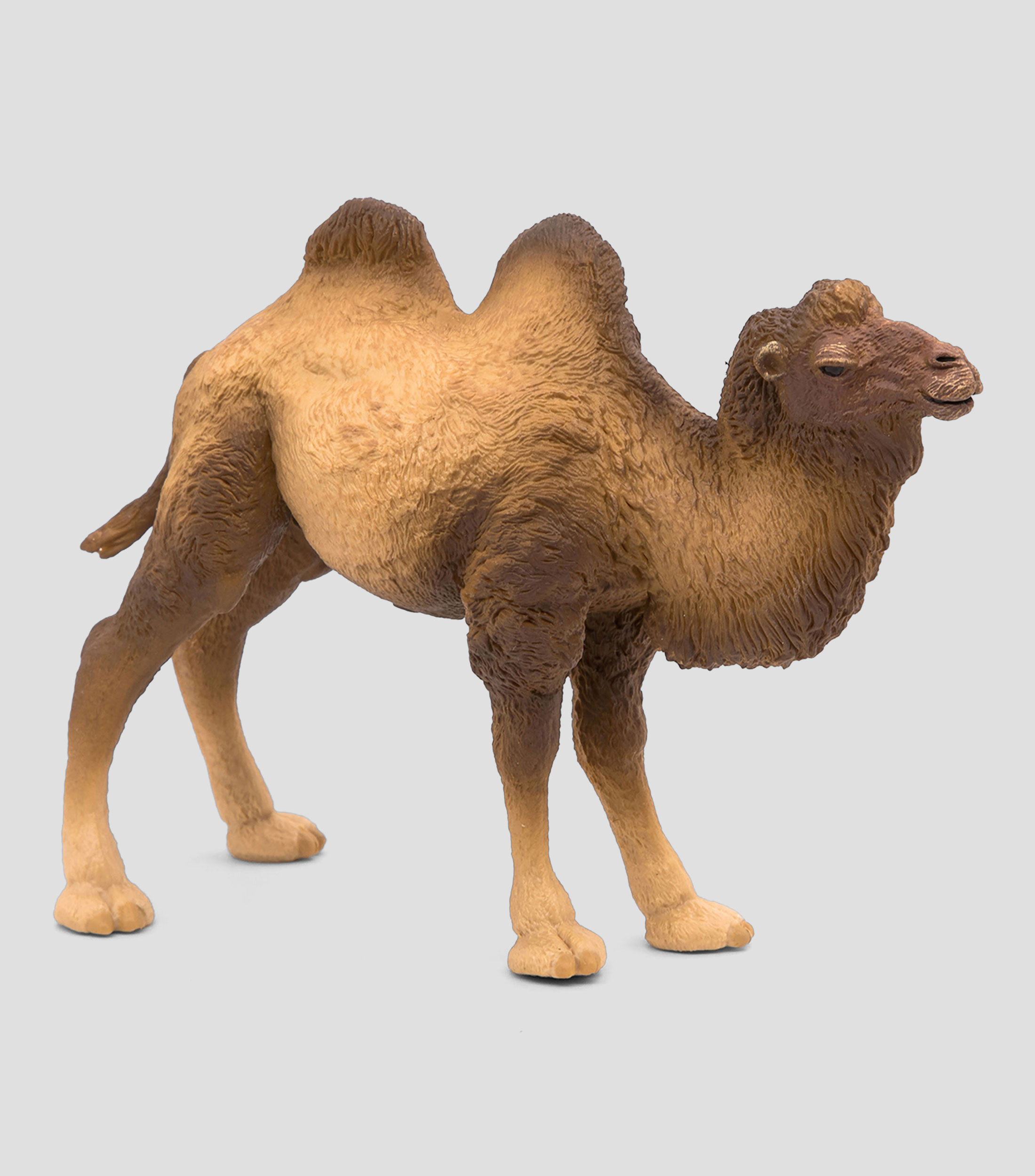 Figura Camello de Bactriane