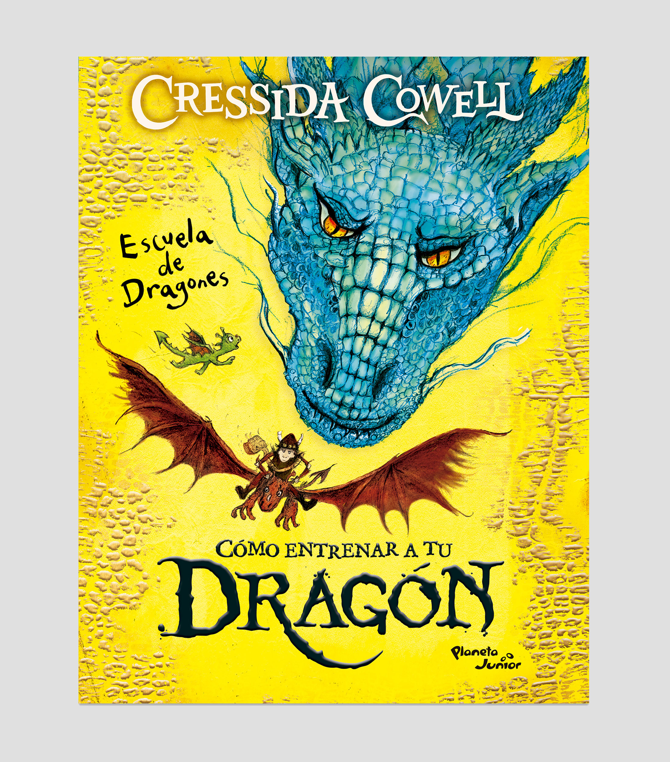 JóvenesCómo entrenar a tu dragón. Escuela de dragones, Cressida Cowell