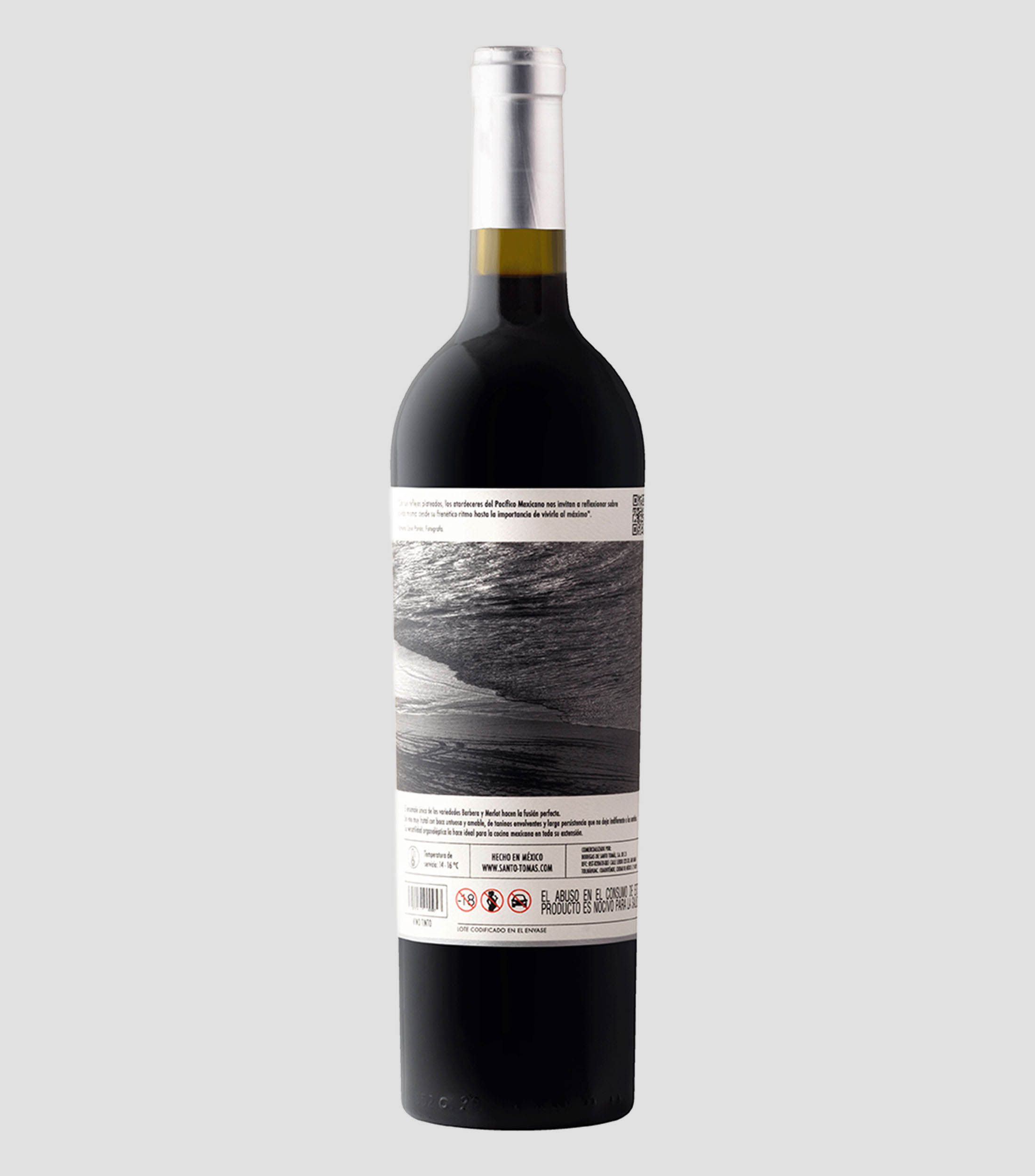 Vino Tinto Barbera, Merlot del Valle de Santo Tomás, 750 ml