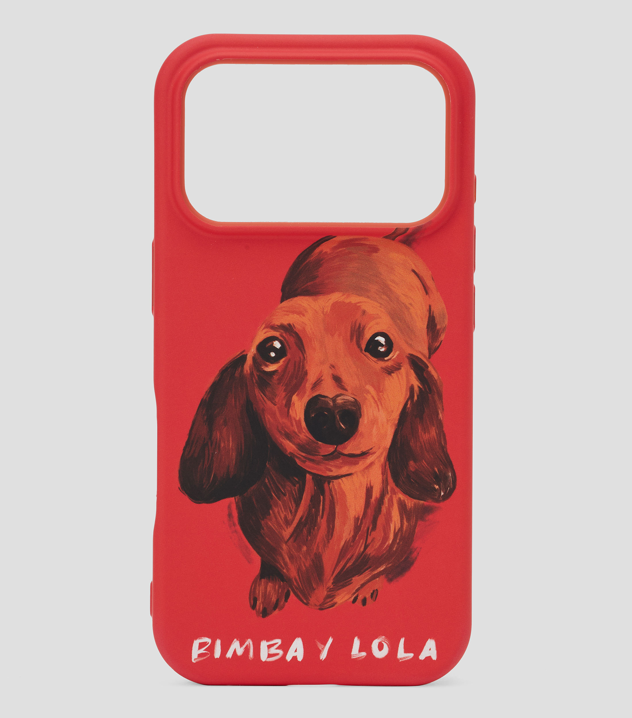 Funda iPhone 17 Pro con estampado