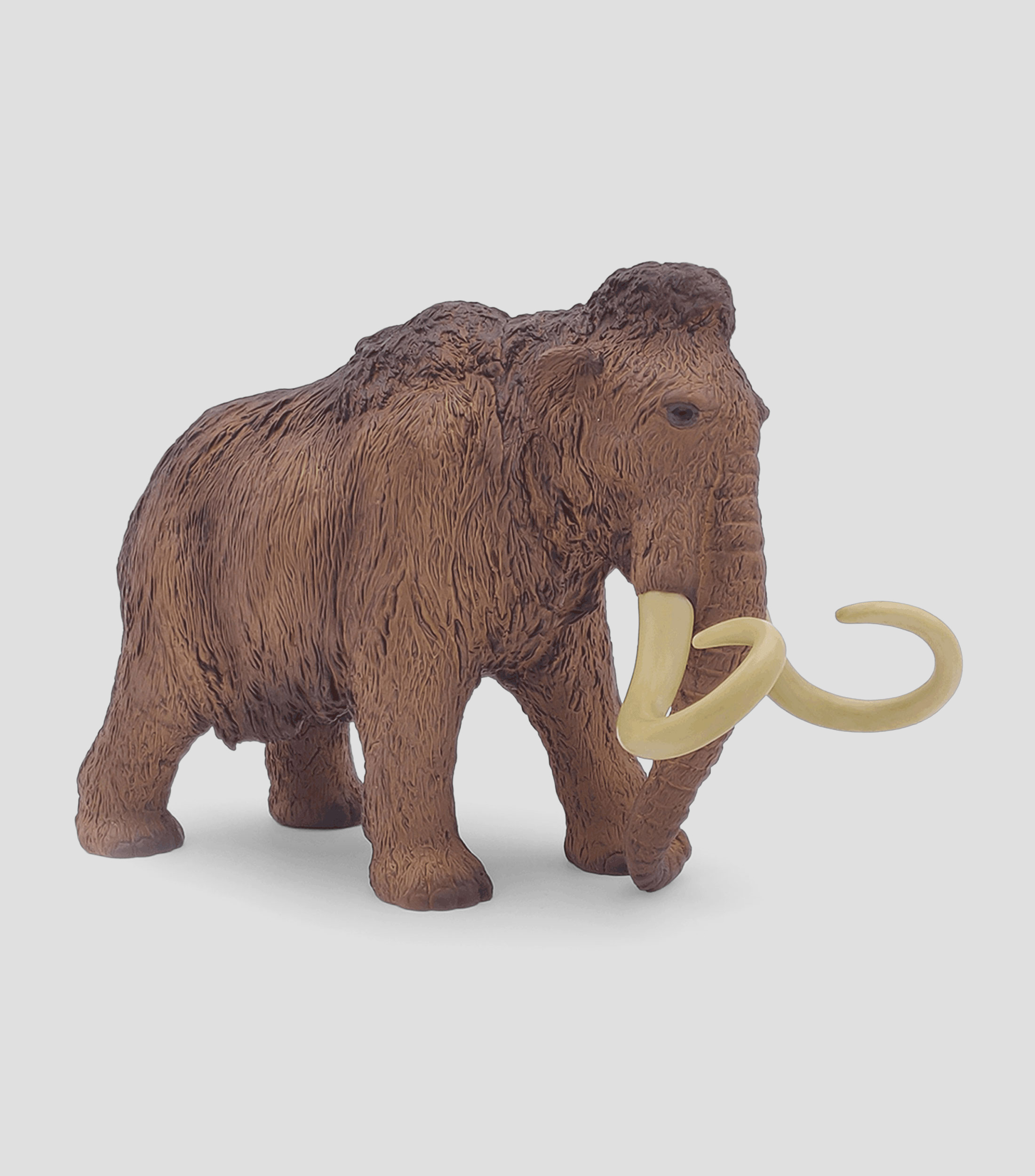 Mamut