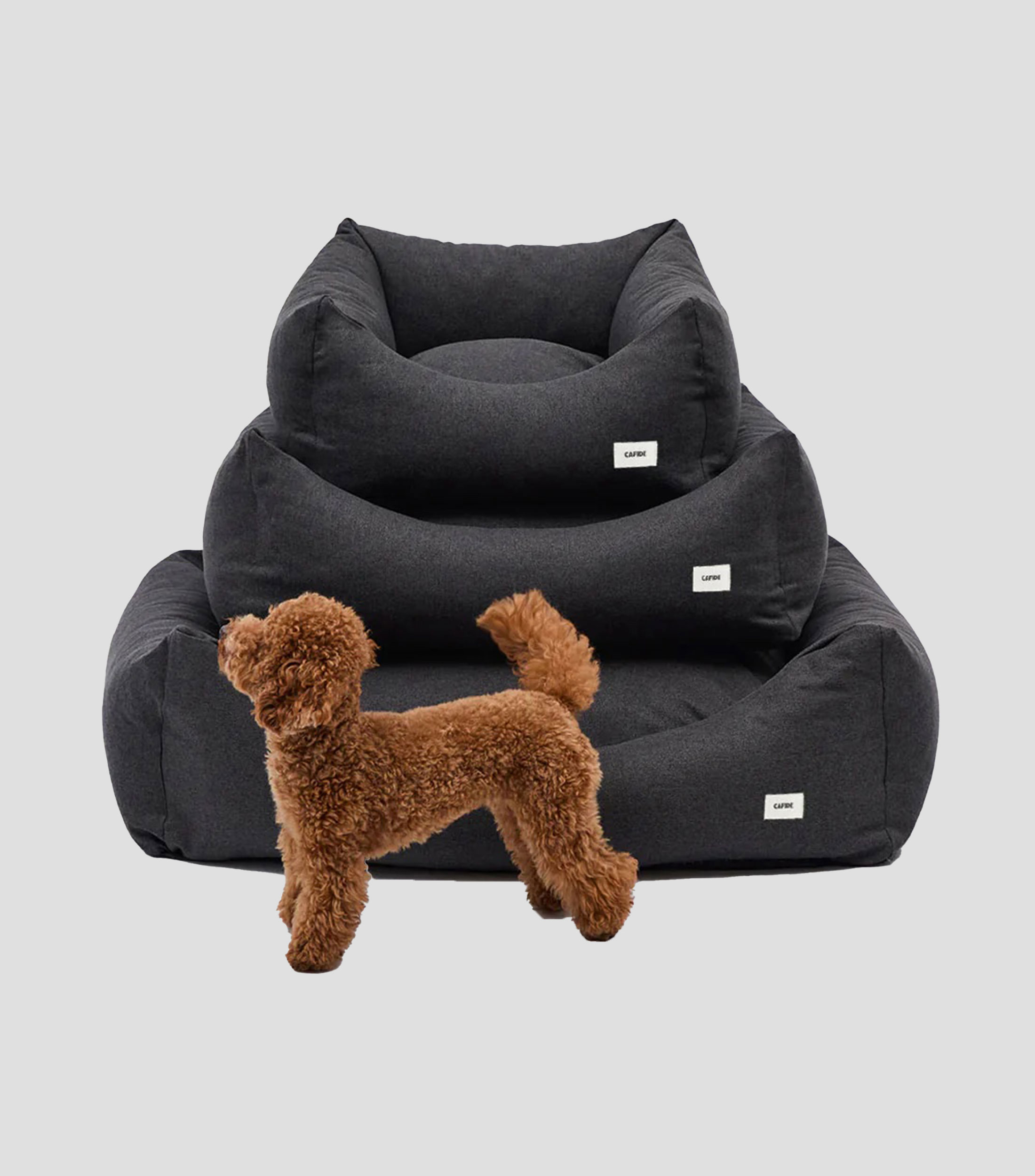Cama para mascota S Snozy negro antracita
