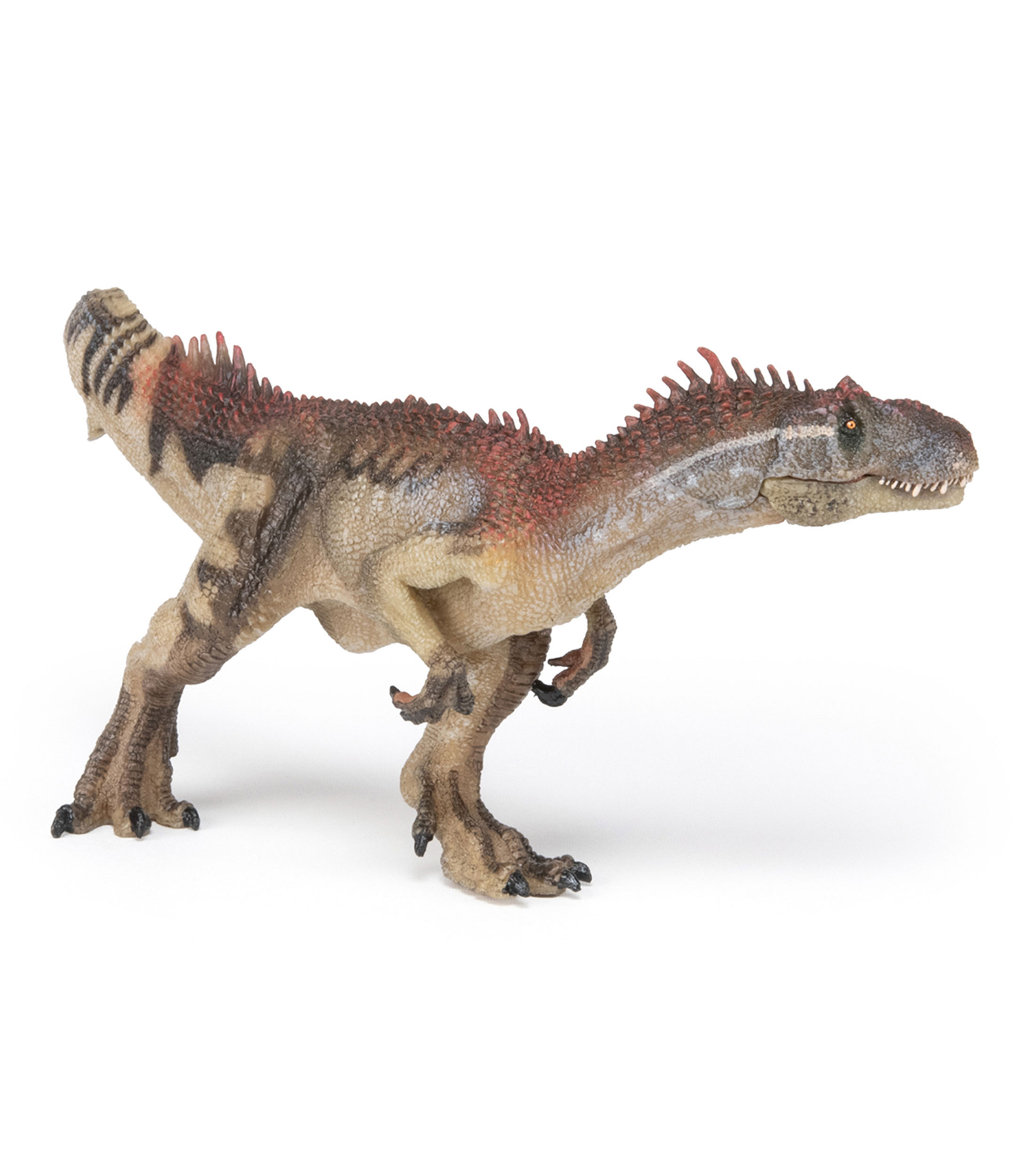 Allosaurus
