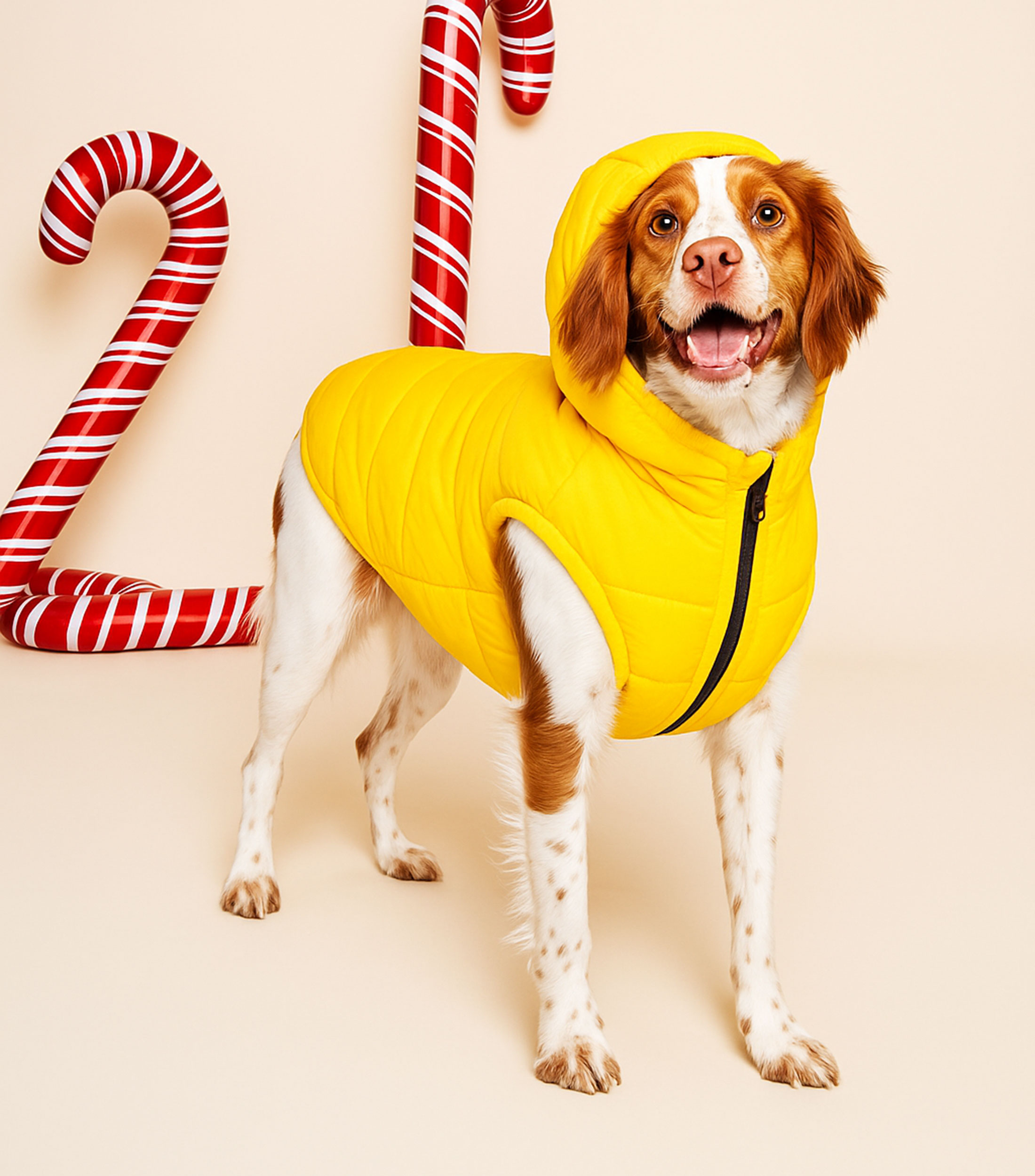 Chaleco puffer para perro