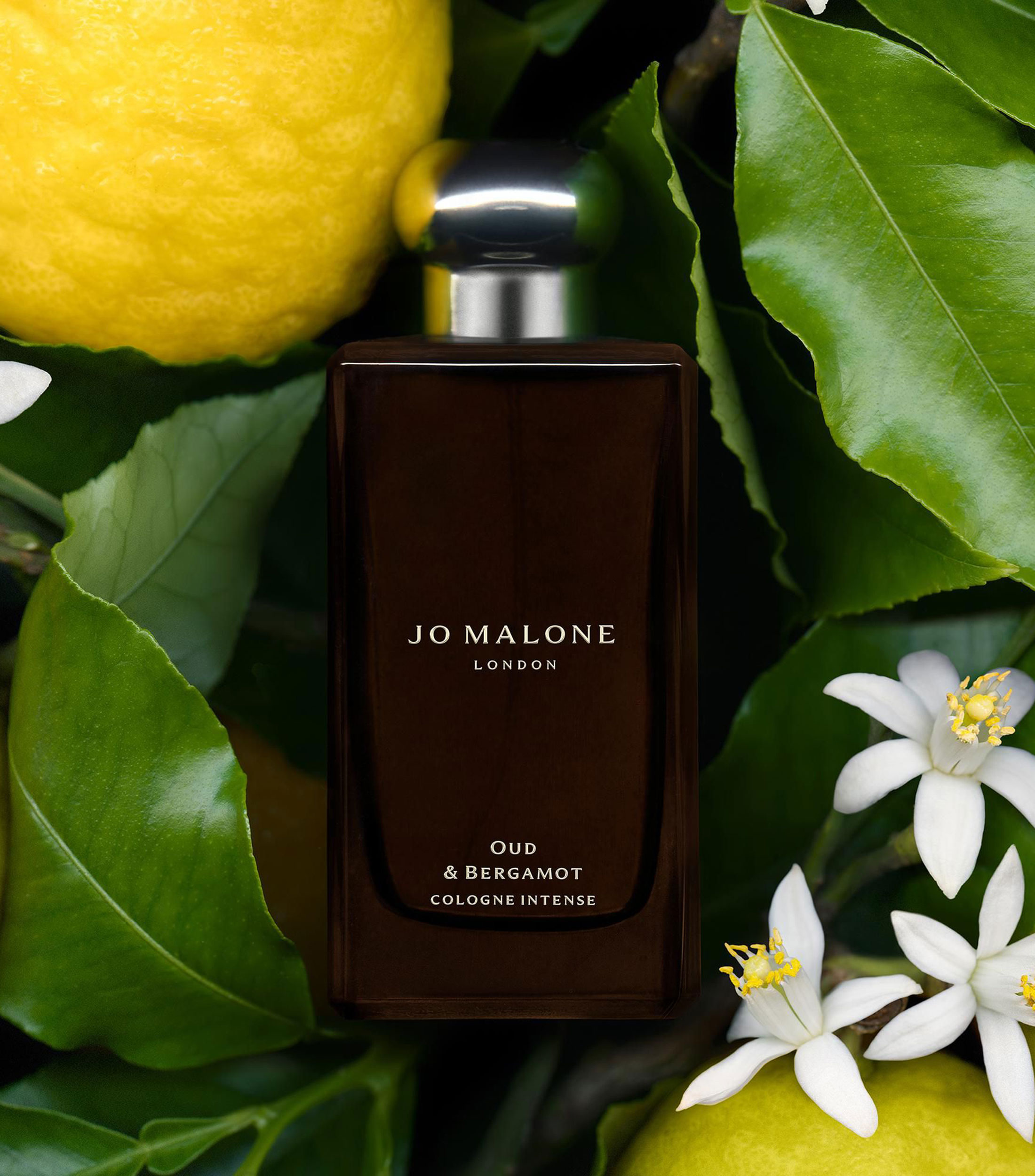 Colonia Oud & Bergamot, Eau de Toilette, 30 ml Unisex