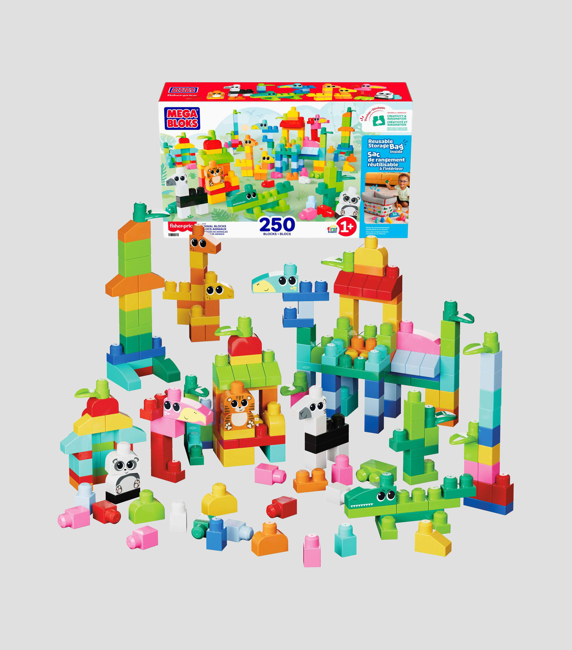 Playset de 250 bloques de construcción