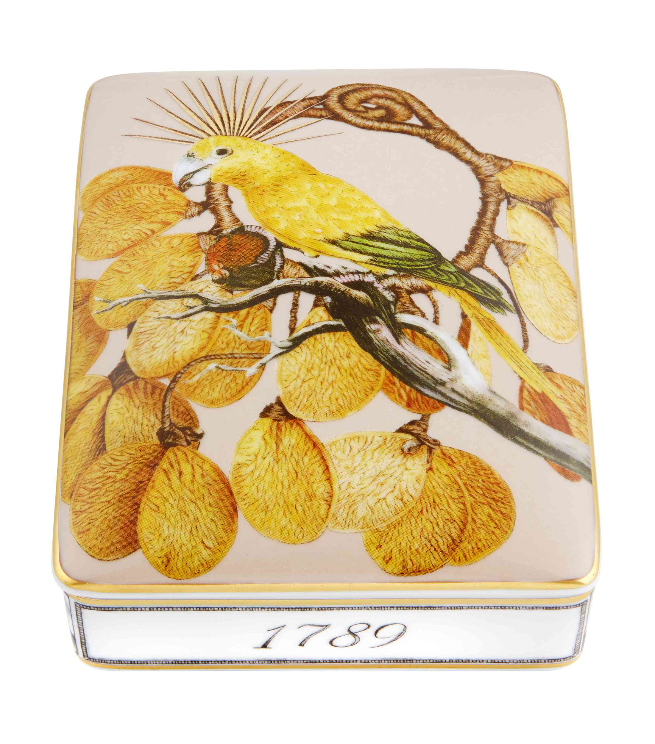 Caja Barajo Amazon en porcelana