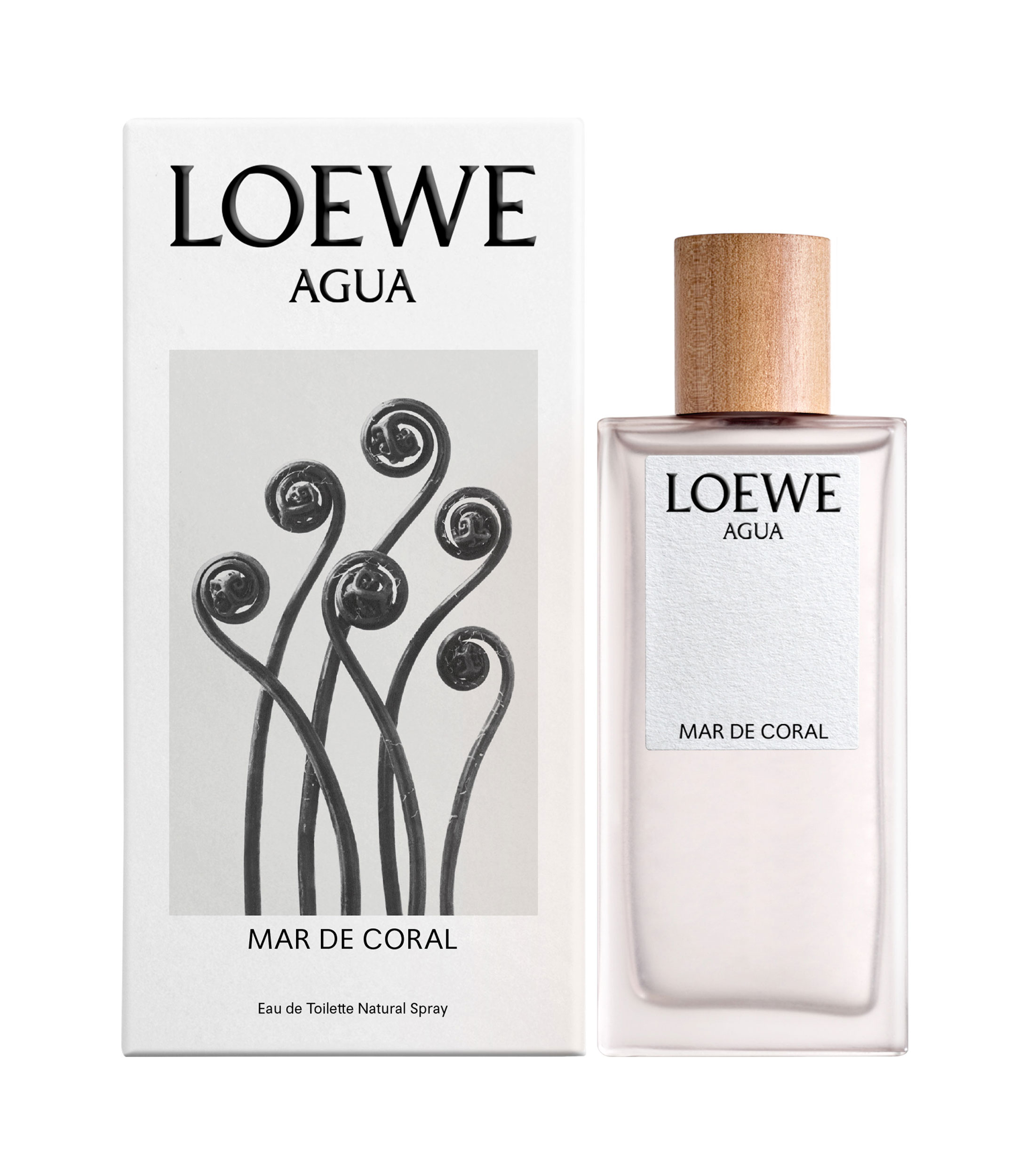 LOEWE AGUA MAR DE CORAL EDT 100 ML