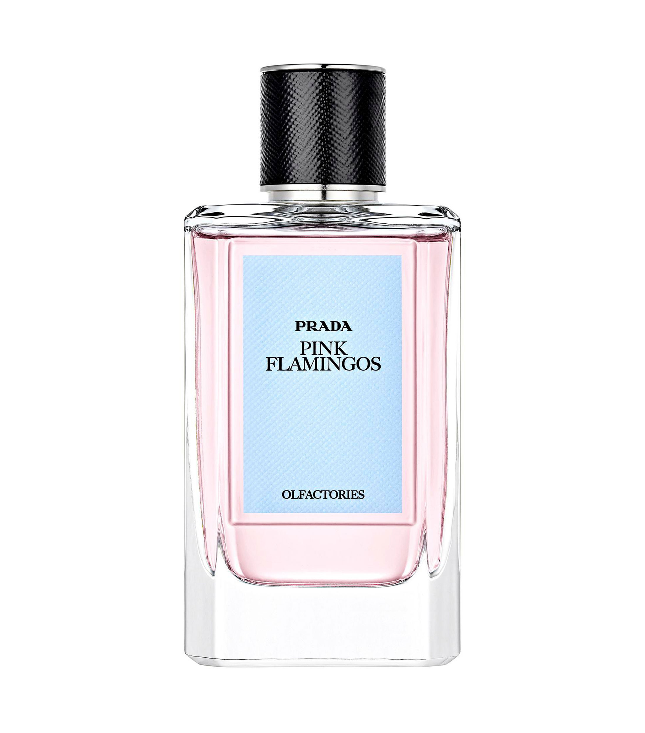 Perfume Pink Flamingos, Eau de Parfum 100 ml Unisex