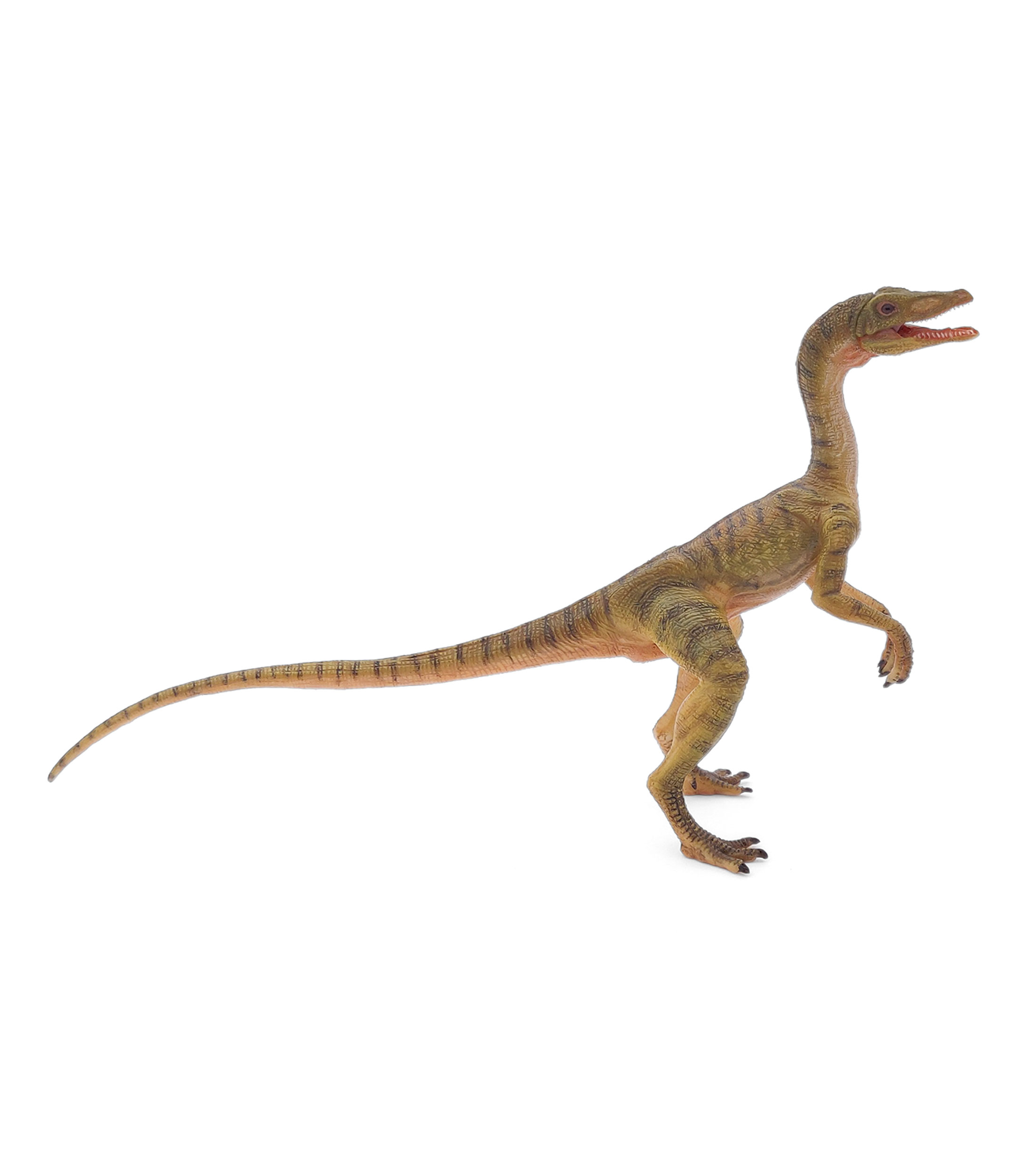 Compsognathus