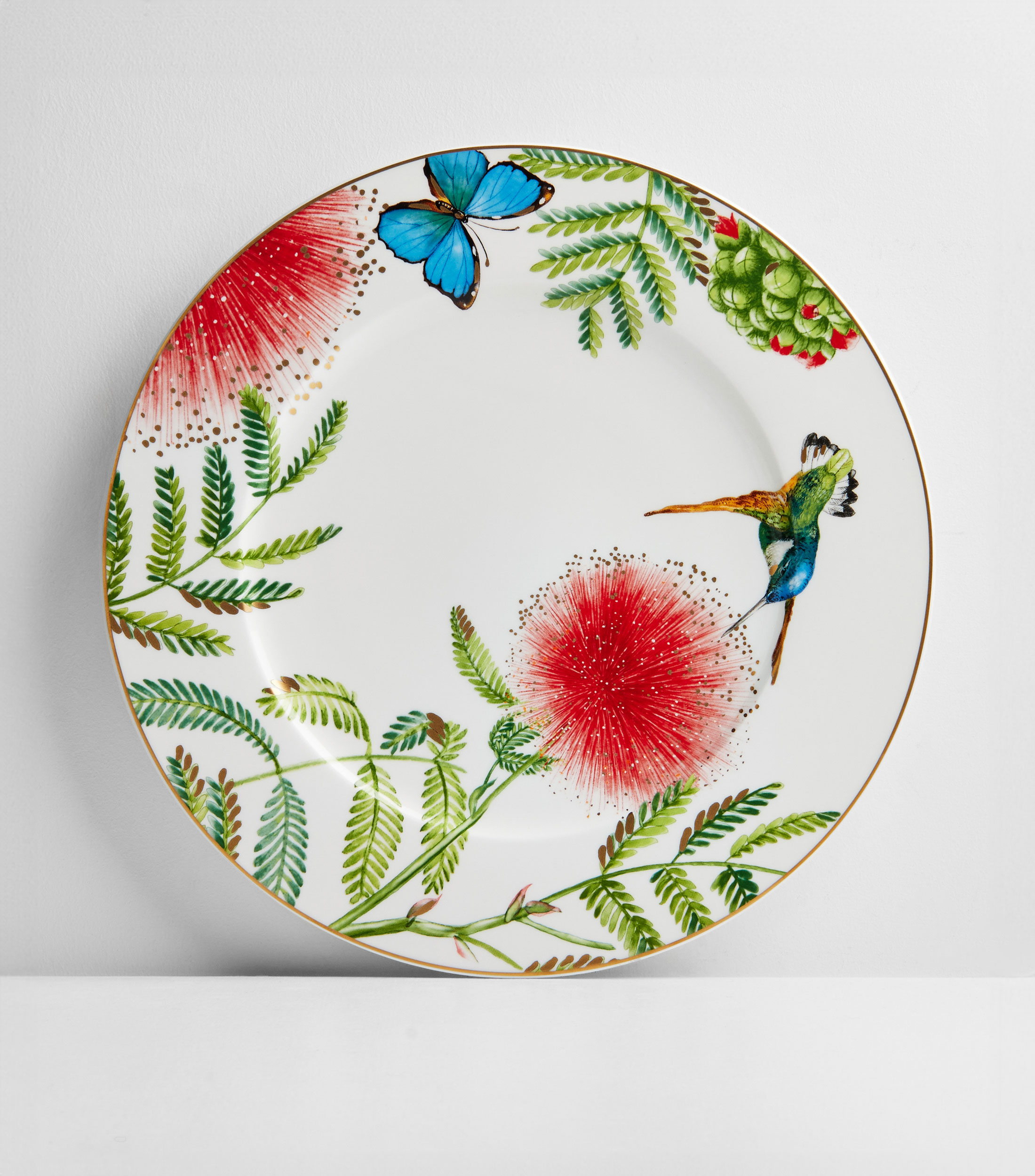 Plato Bajo Amazonia Anmut naturaleza en porcelana