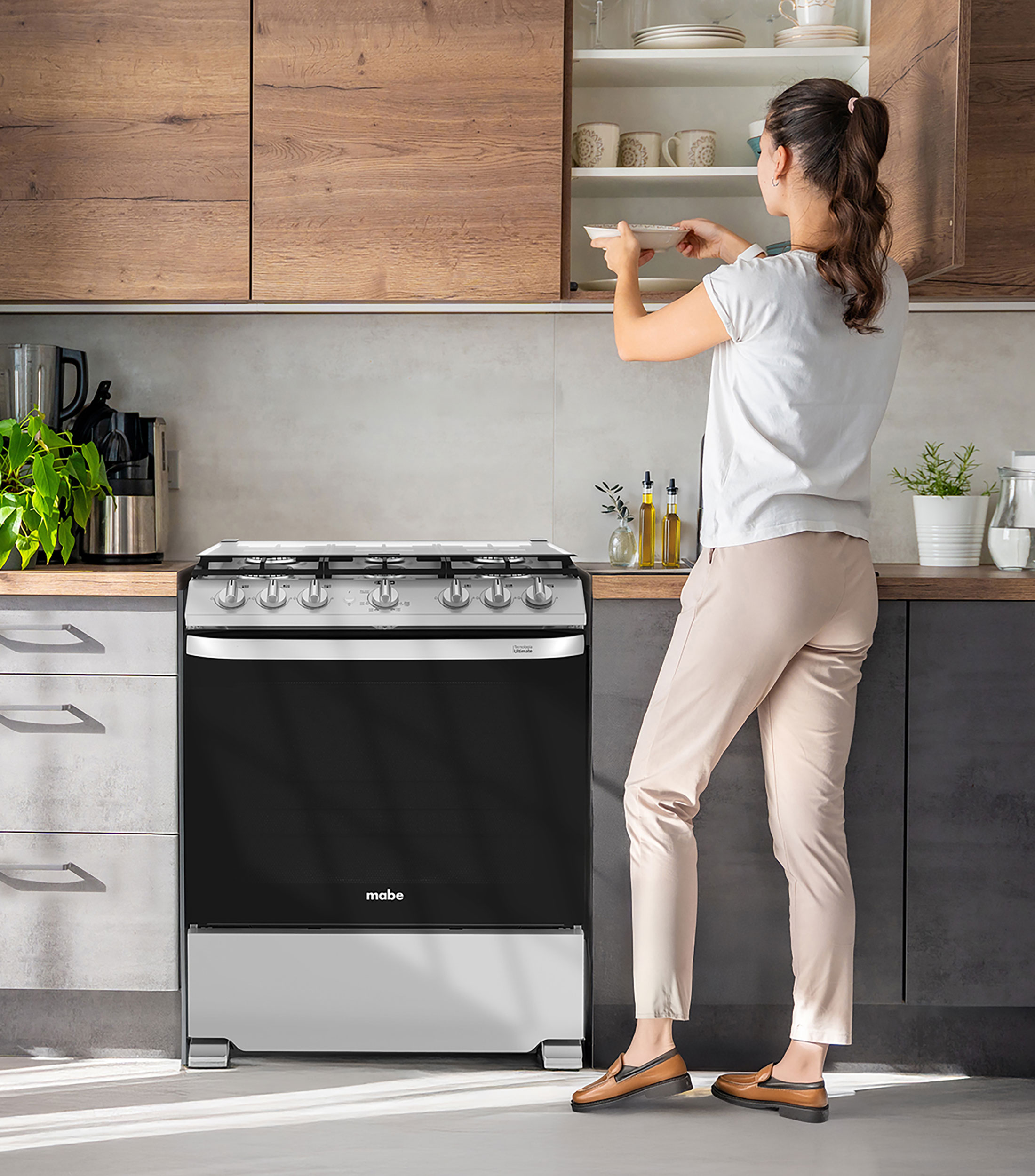 Estufa de gas LP con campana