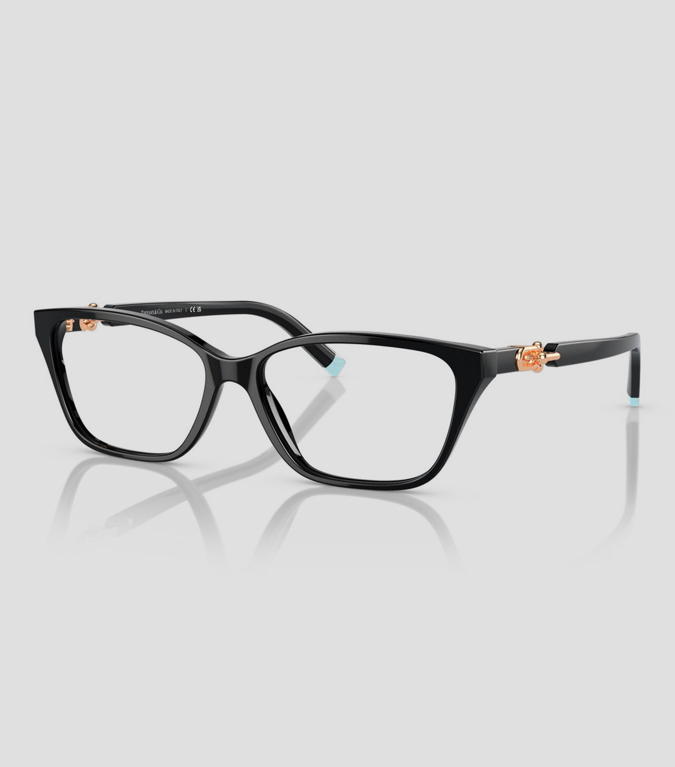 Lentes oftálmicos rectangulares negros Mujer