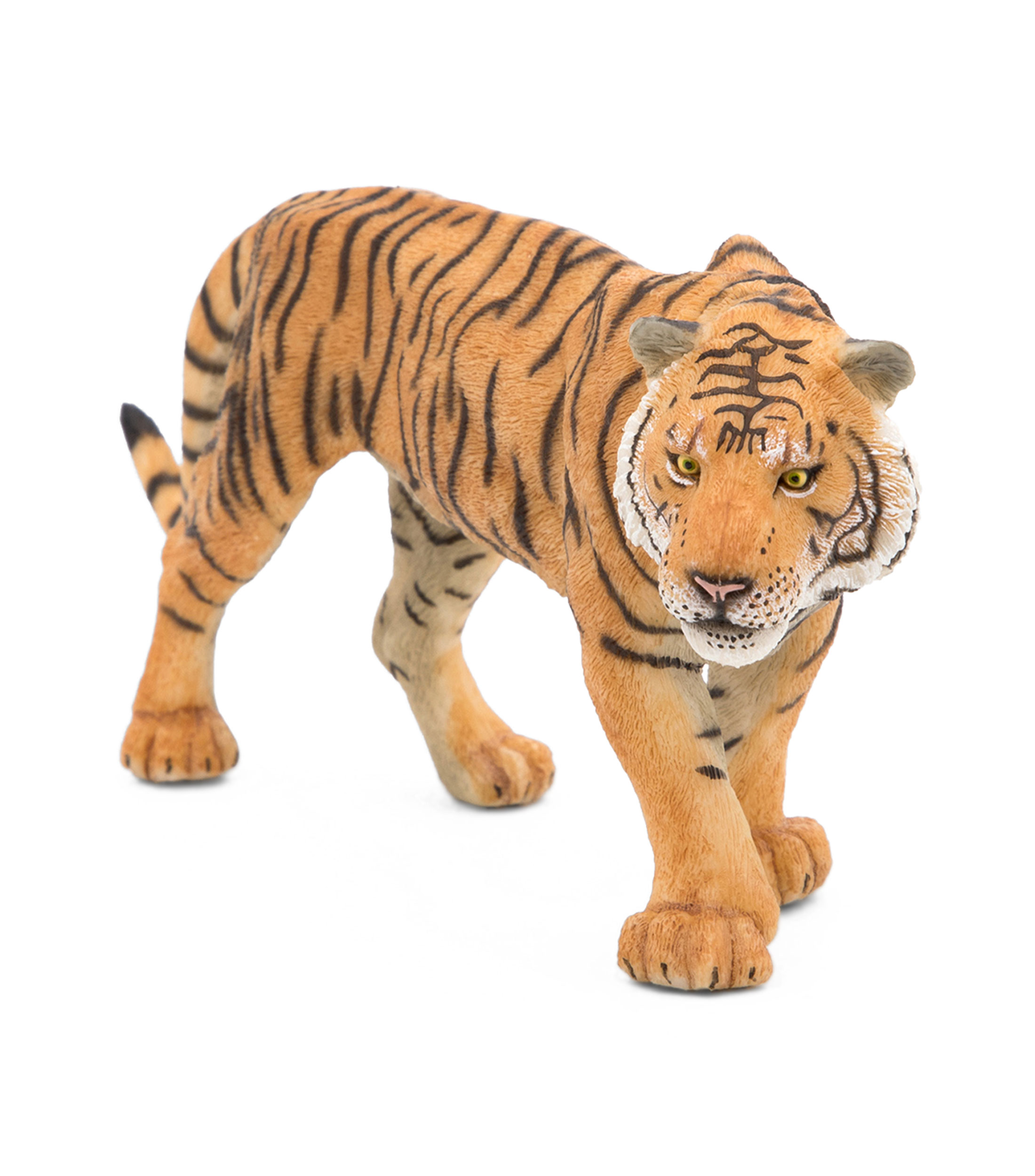 Tigre