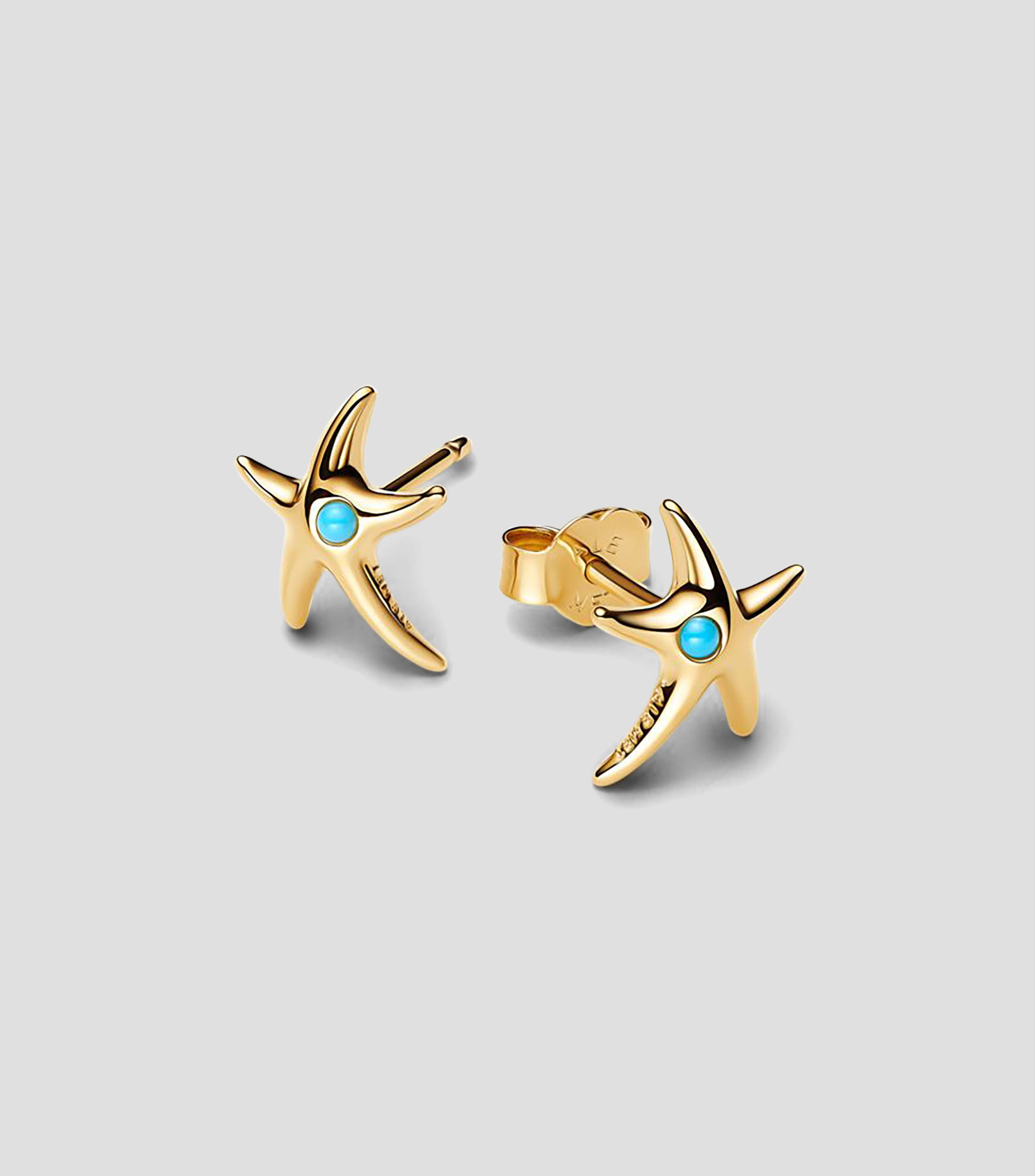 Aretes estrella de mar en plata Mujer
