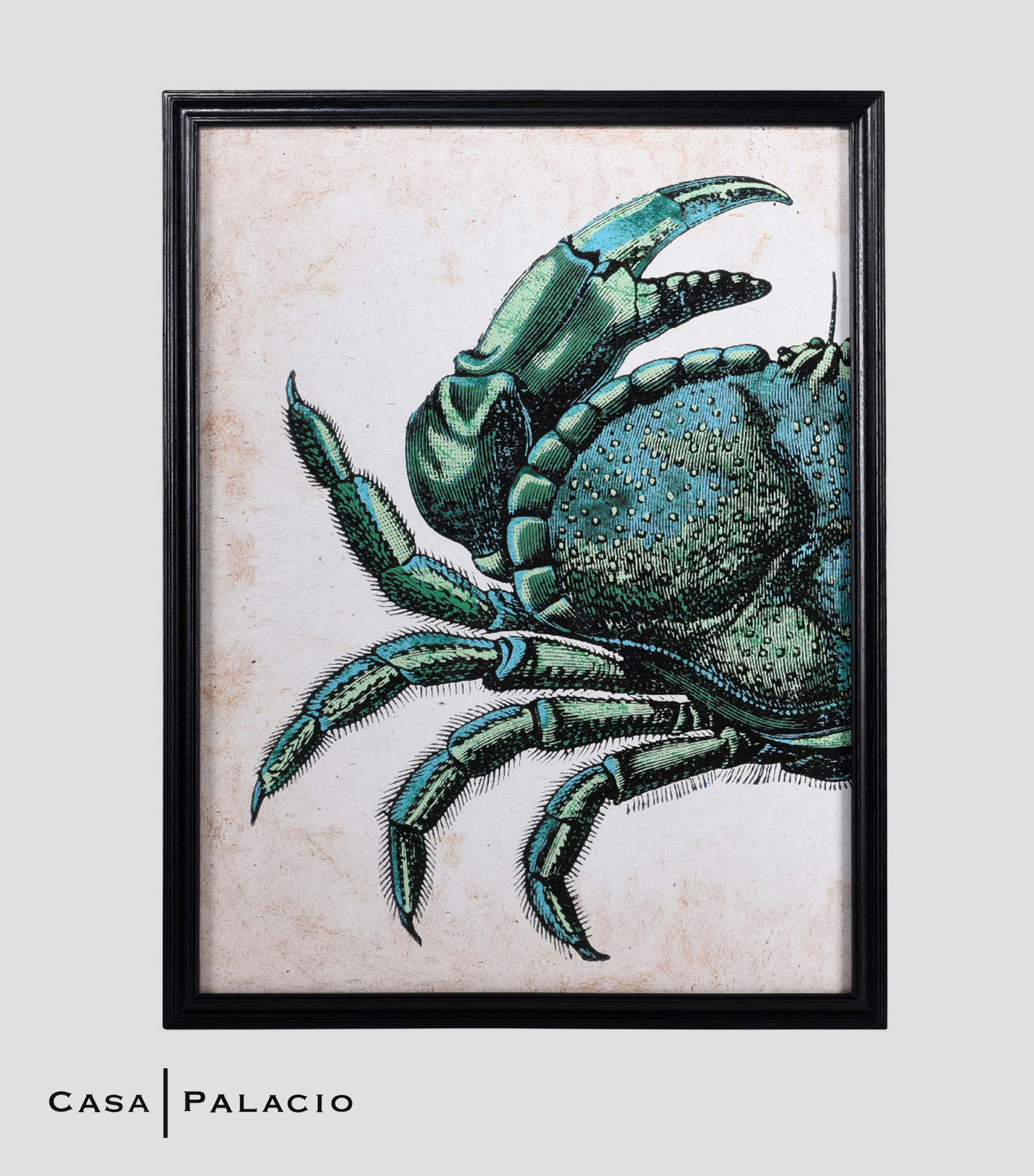 Cuadro Cangrejo Izquierdo