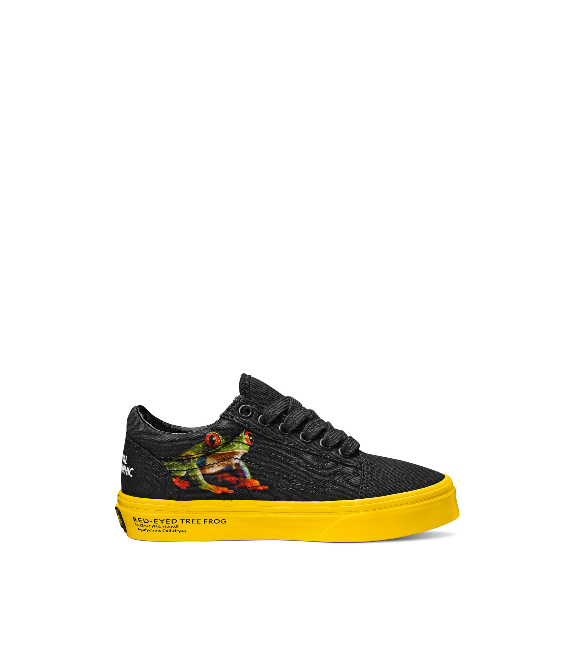 National Geographic Palacio De Hierro Tenis Vans Vans Old Skool