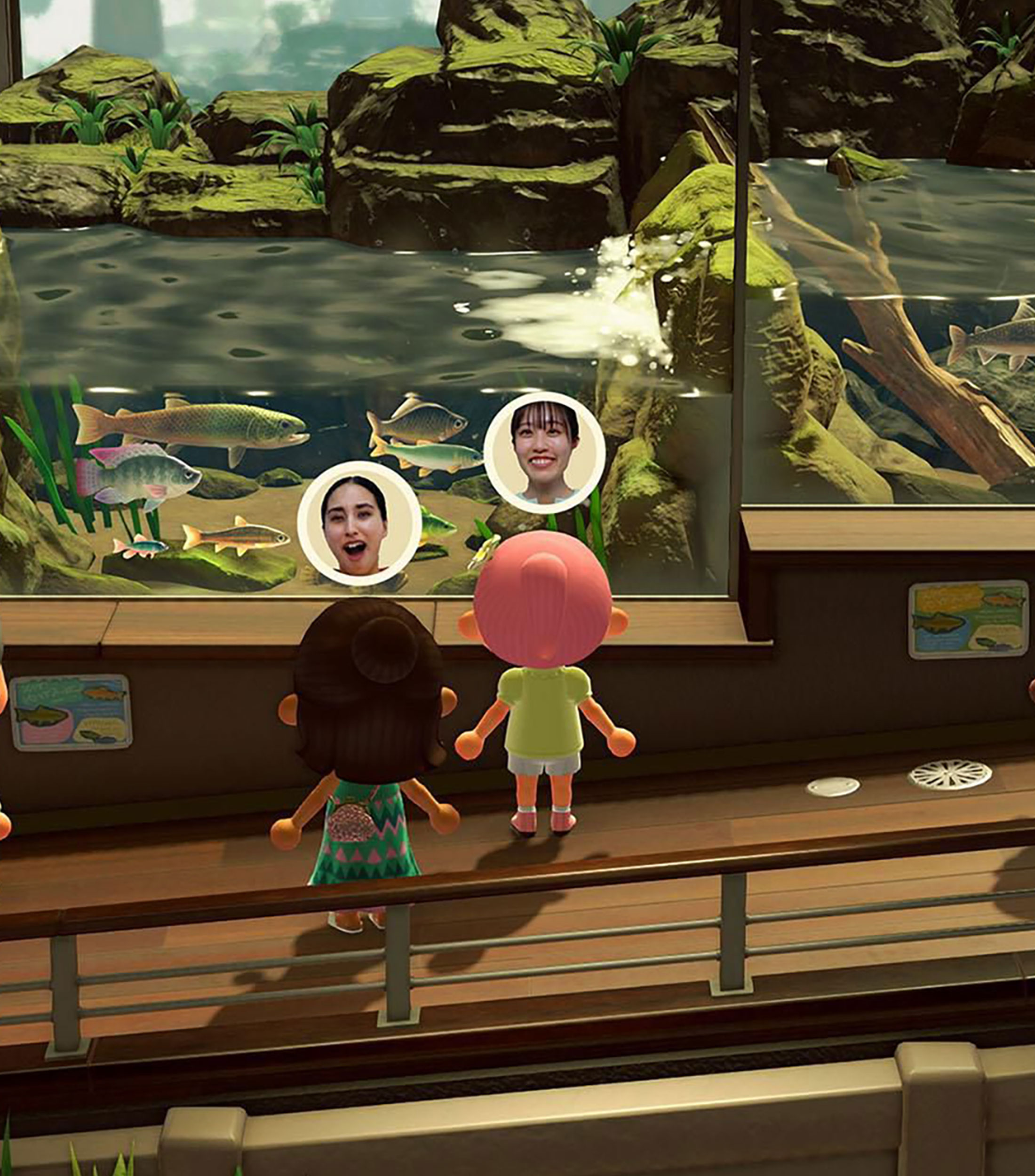 Animal Crossing, Nintendo Switch 2 Edition