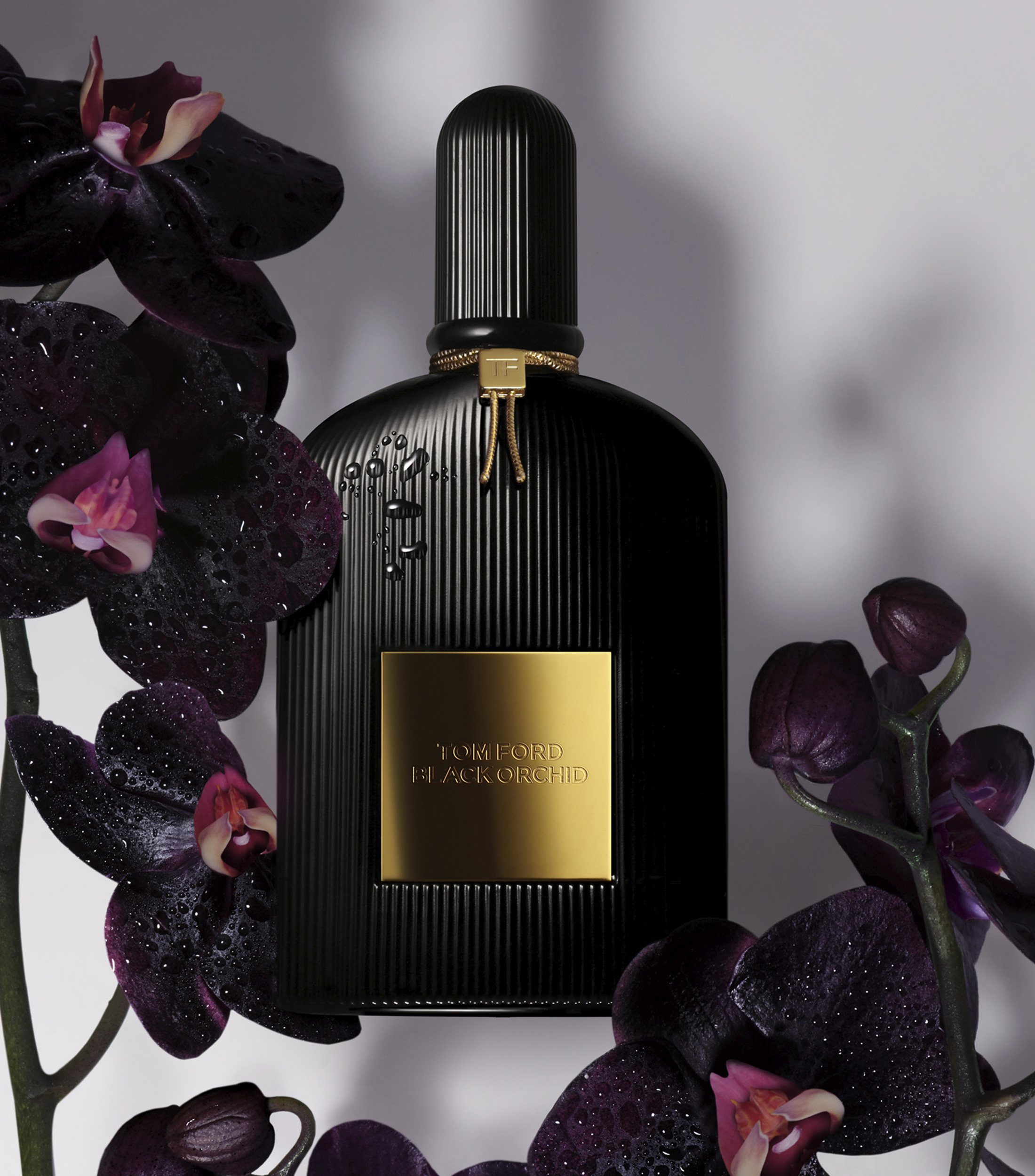 Perfume, Black Orchid Eau de Parfum, 100 ml Unisex