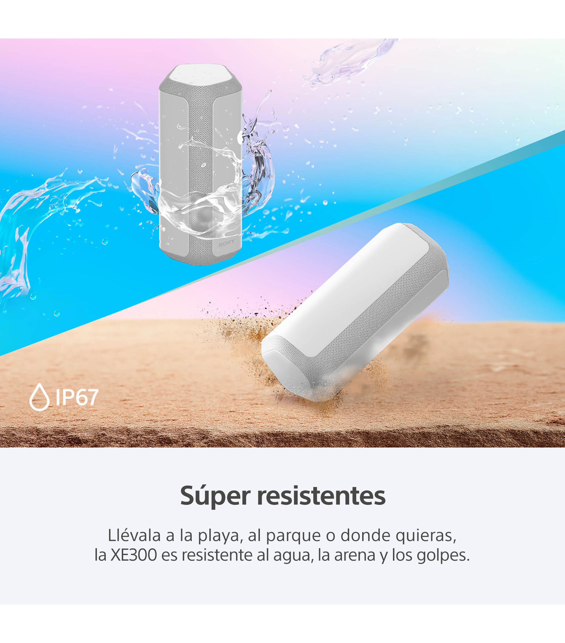 Bocina Portátil Inalámbrica Bluetooth SRS-XE300 Gris