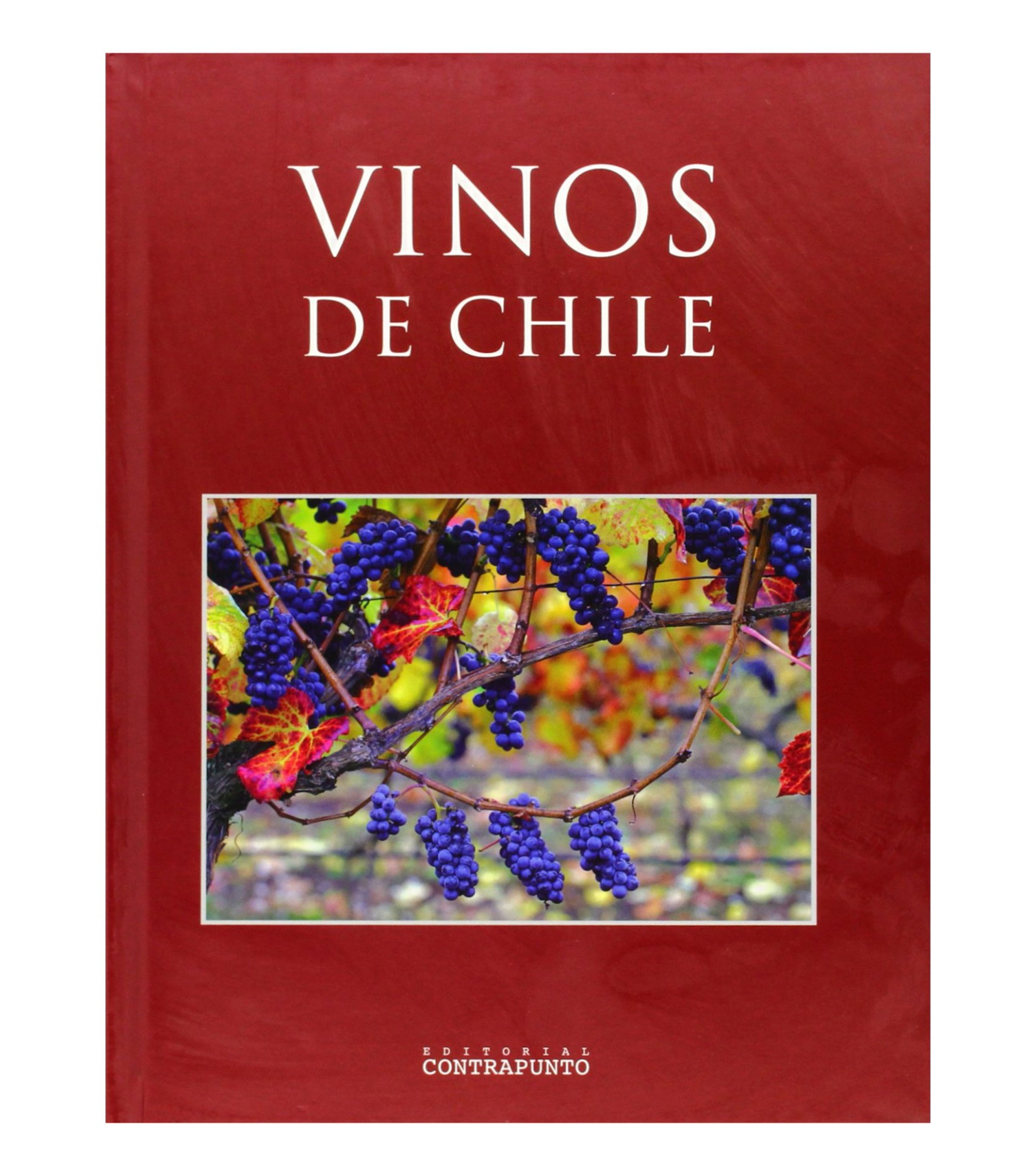 Arte Y RecreaciónVinos de Chile, Varios Autores