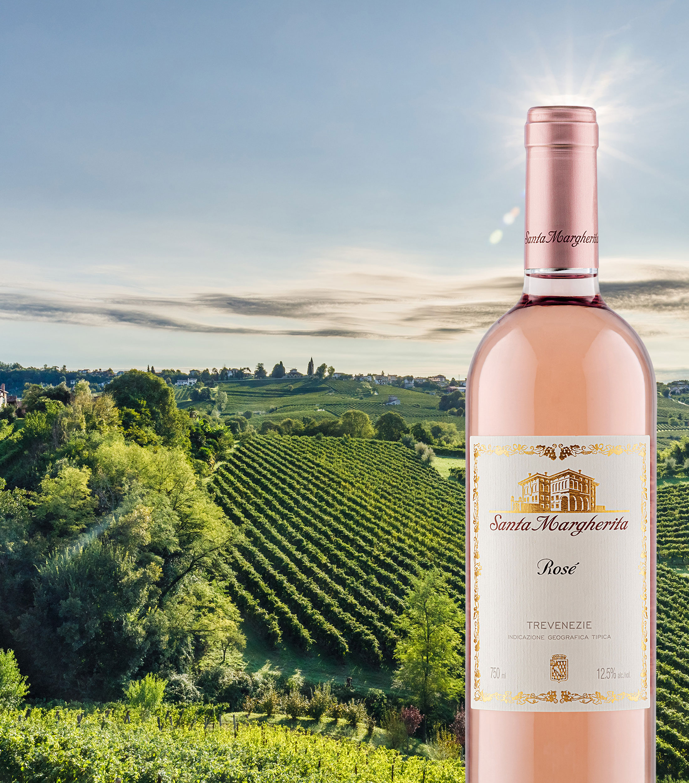 Vino Rosado Chardonnay, Italia, 750 ml