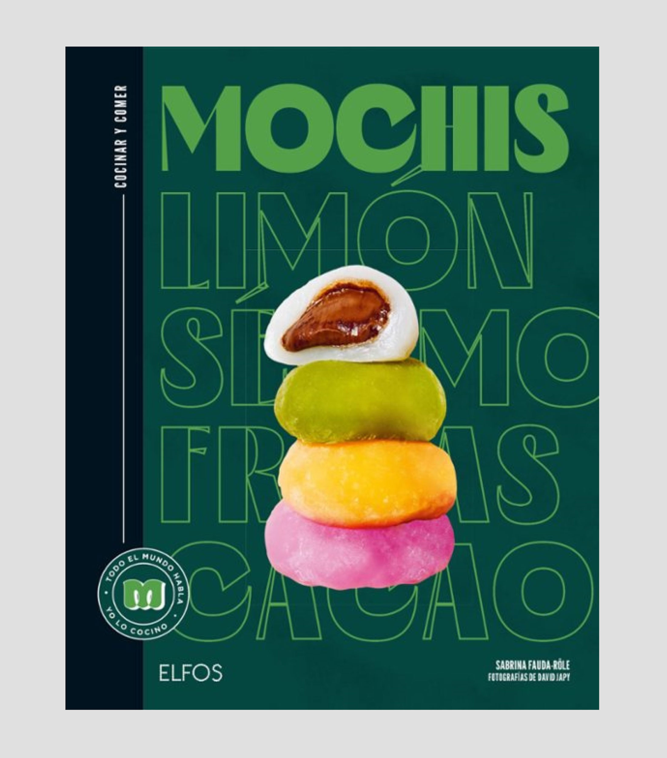 Arte Y RecreaciónMochis, Varios Autores