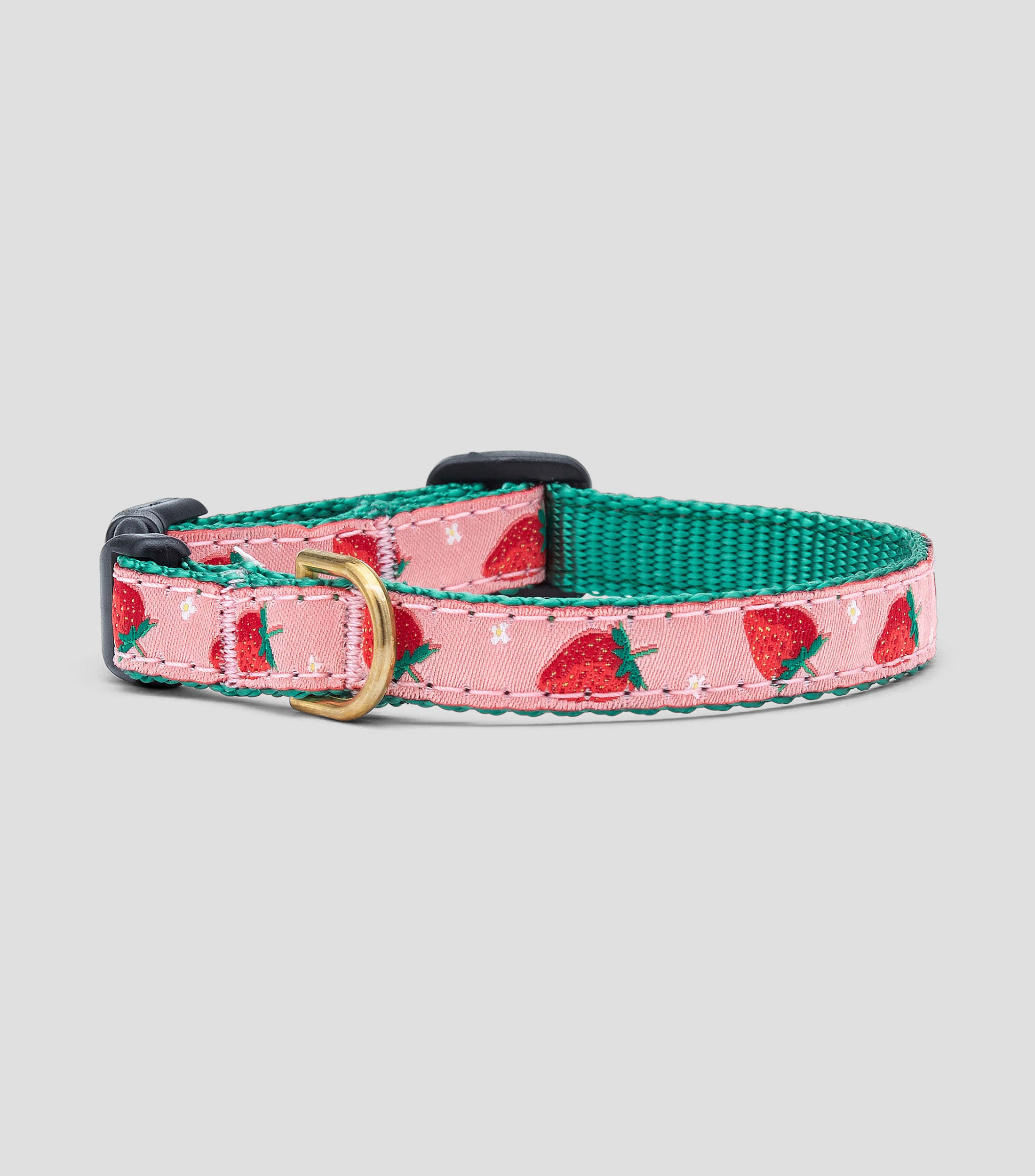 Collar delgado para perro Strawberry Fields