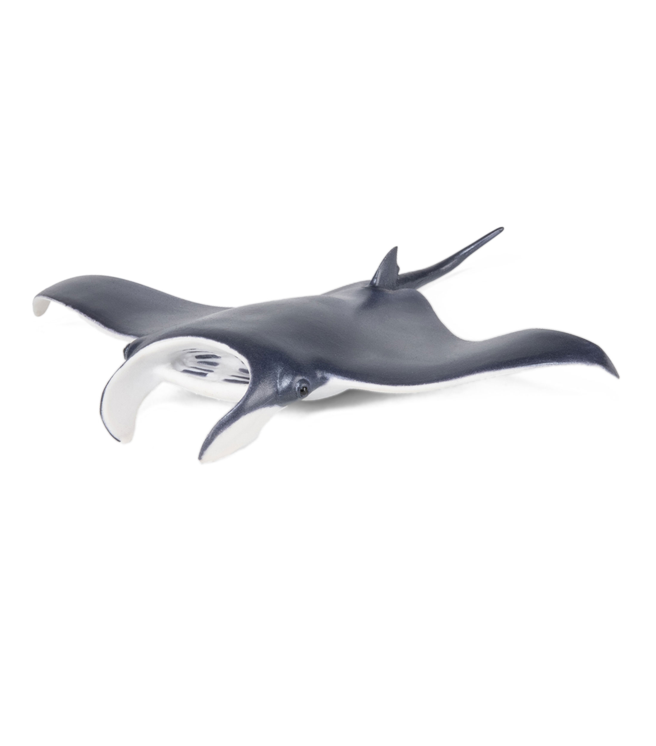 Figura de Mantarraya