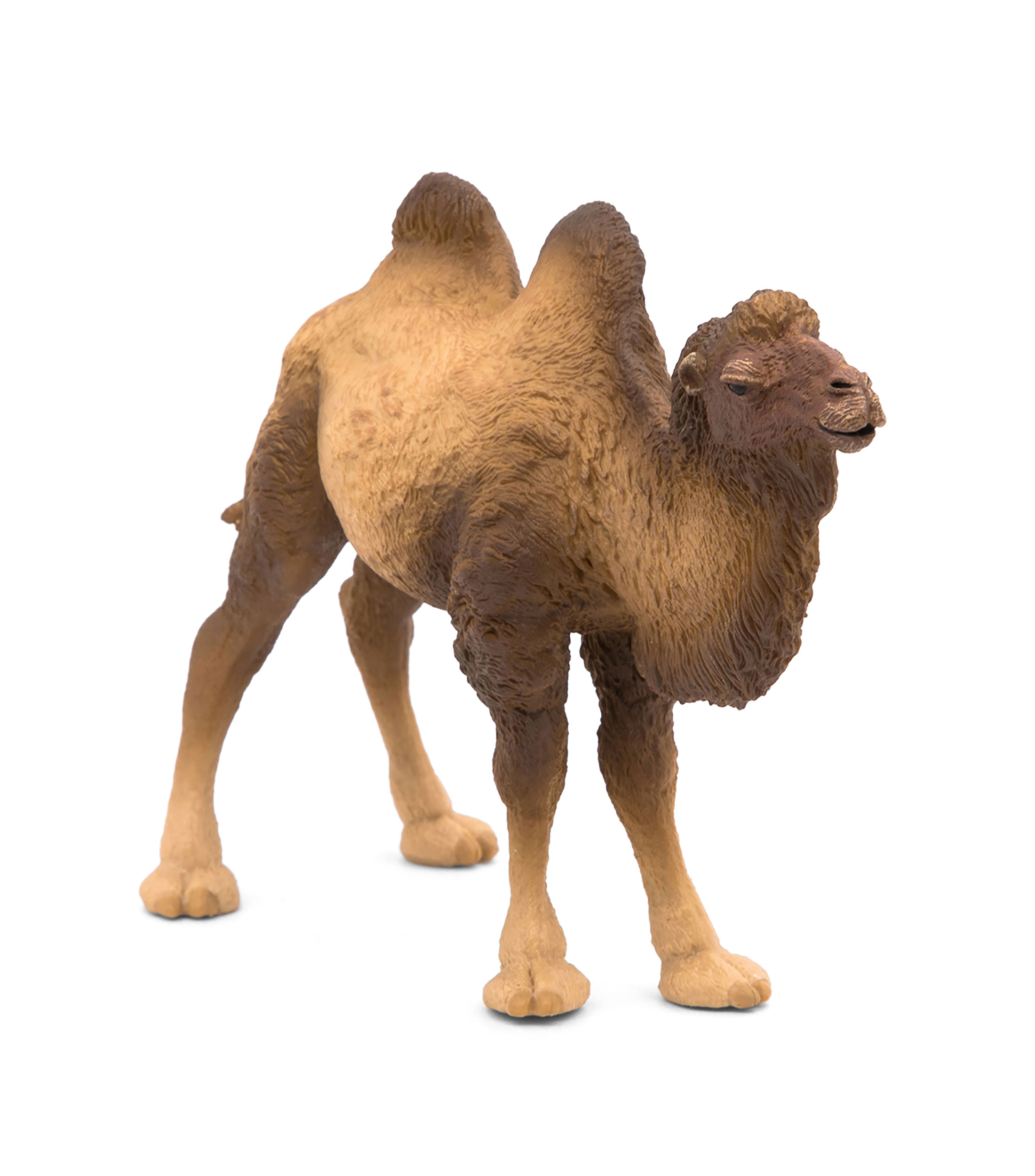 Figura Camello de Bactriane
