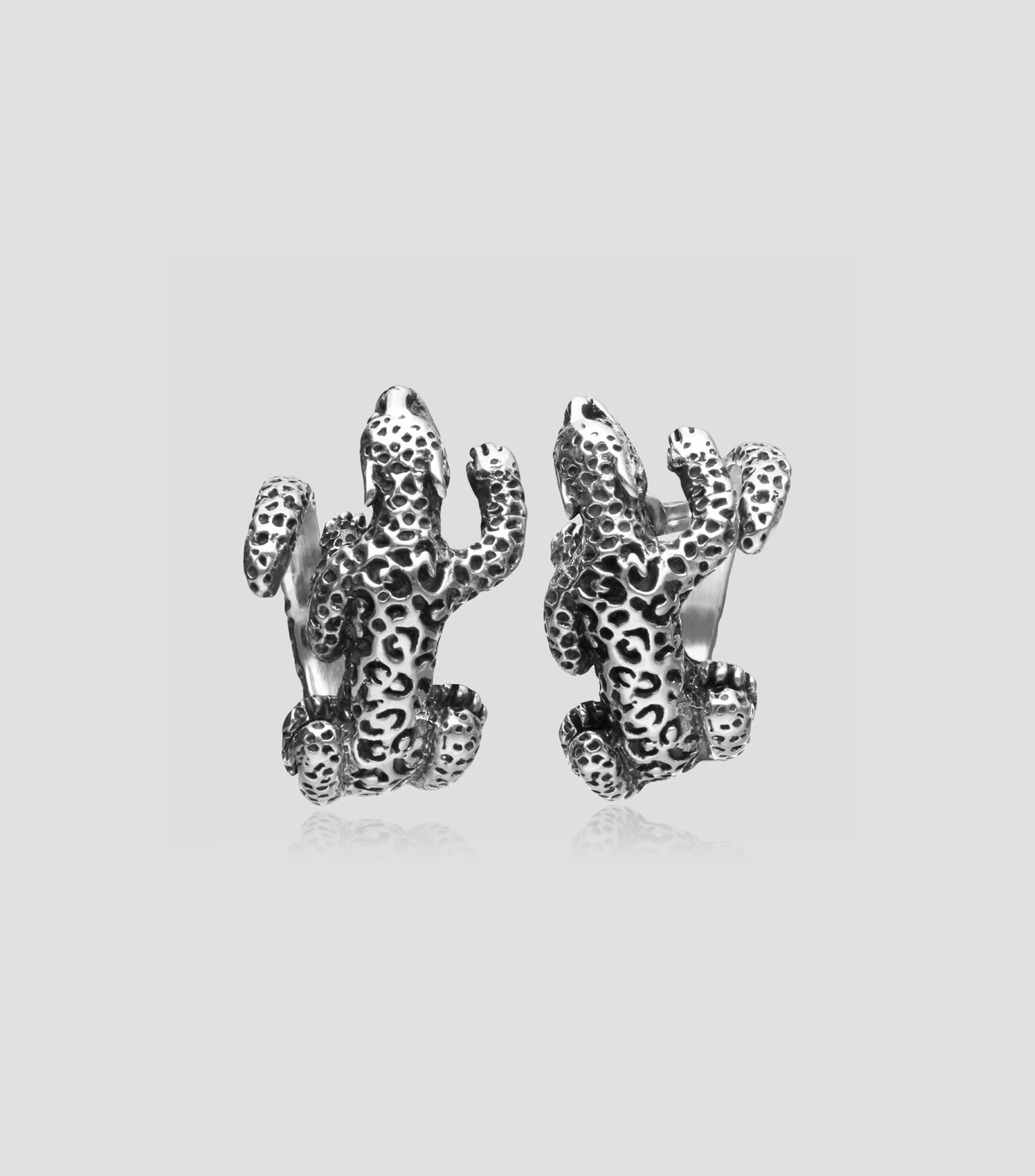 Aretes en plata Mujer