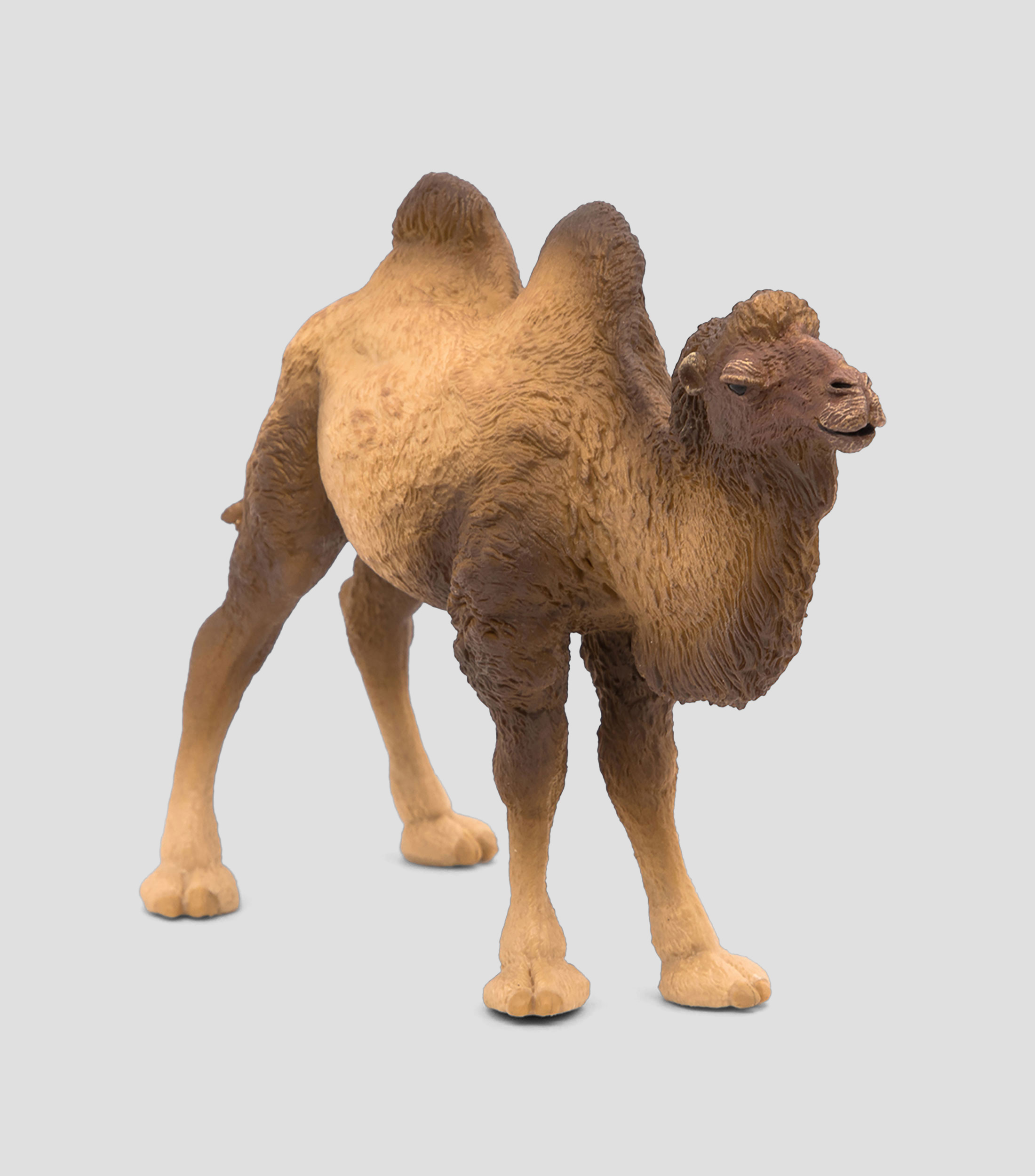 Figura Camello de Bactriane